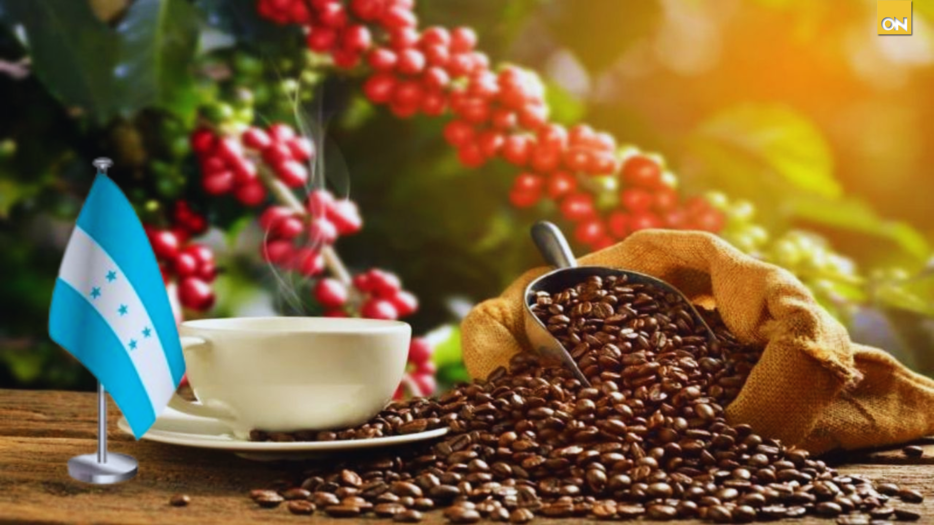 café exportaciones