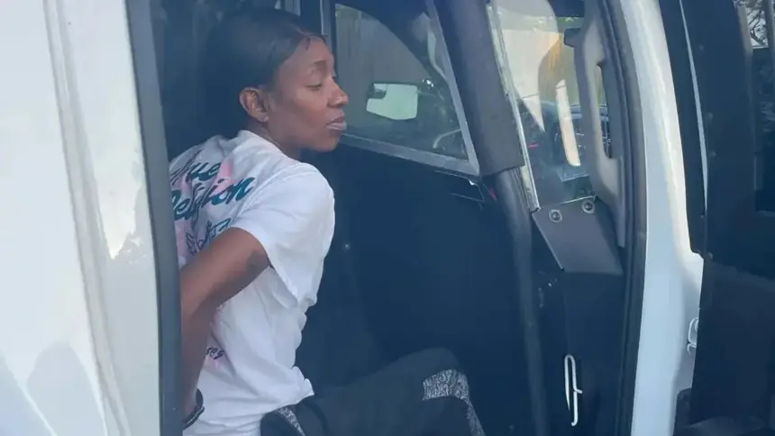 Mujer que se hizo pasar por el ICE