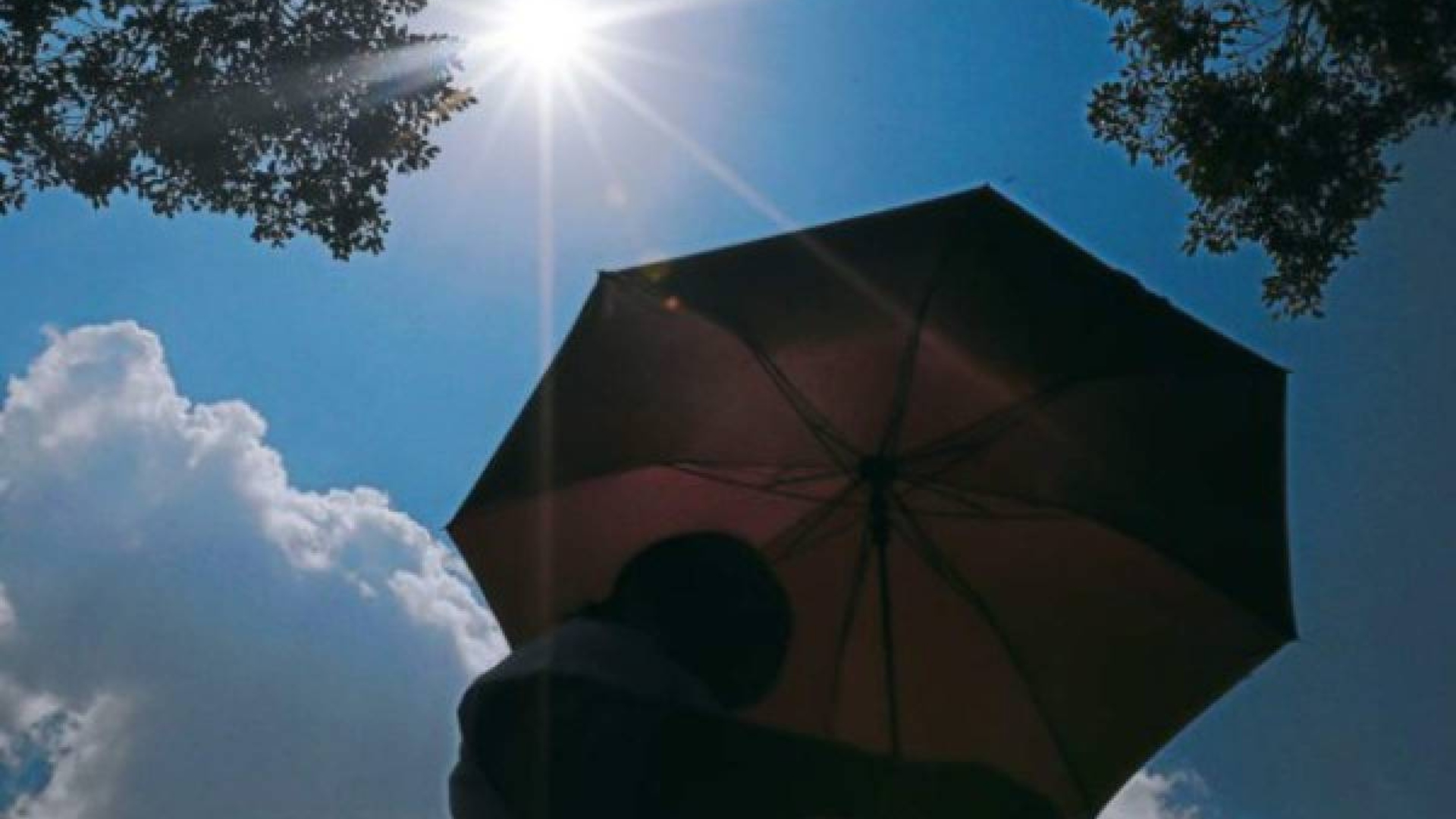 Ola de calor impactará a Honduras a partir de esta fecha