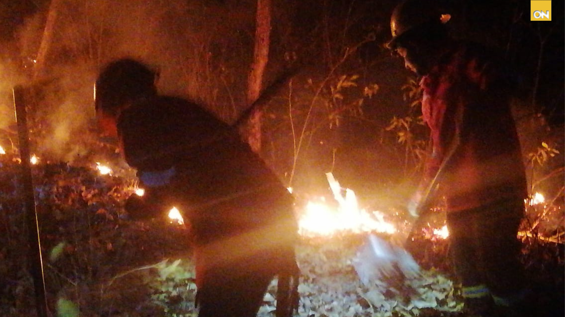PGR requerimiento incendio forestal