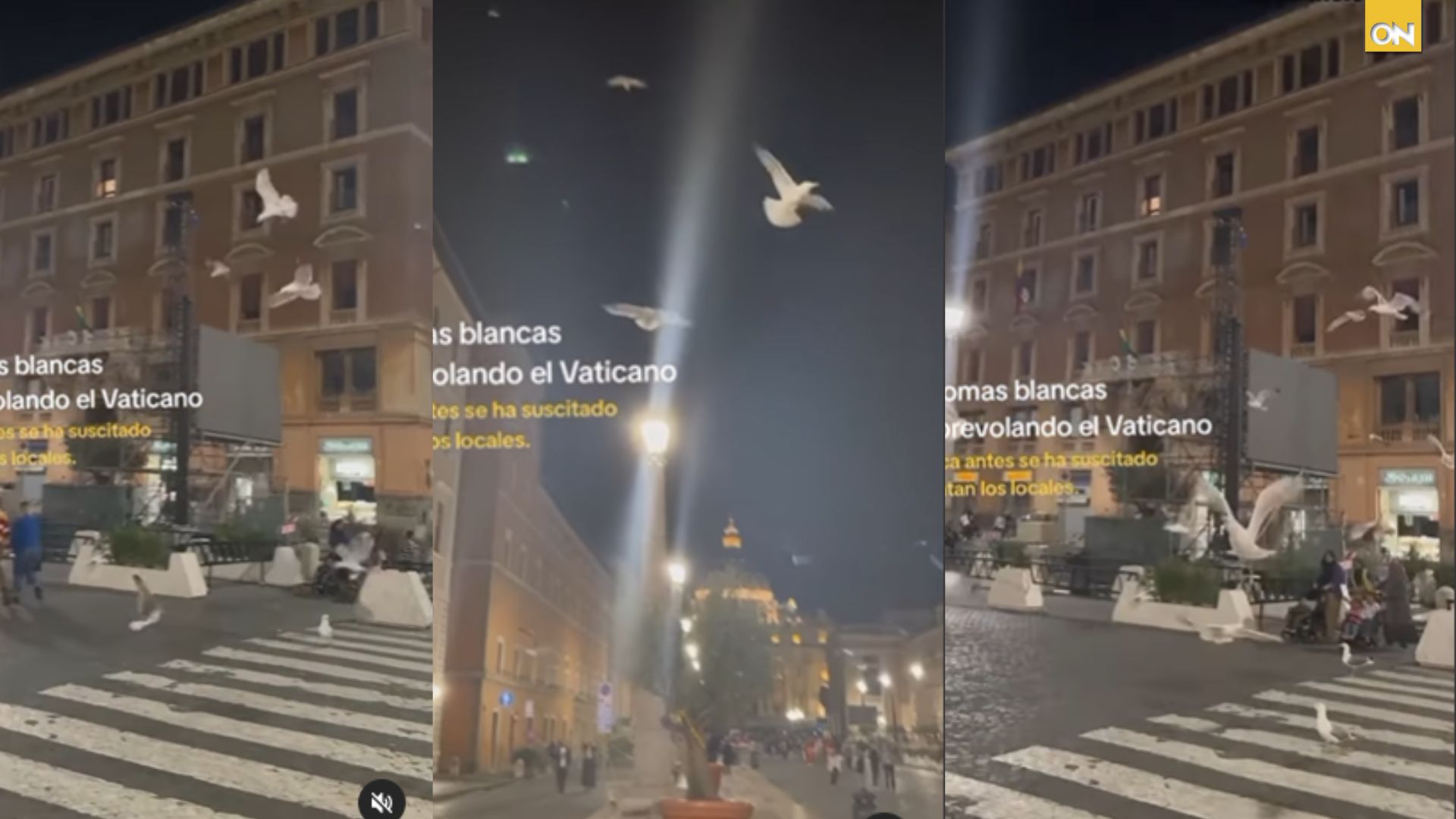 Video palomas, Papa Francisco
