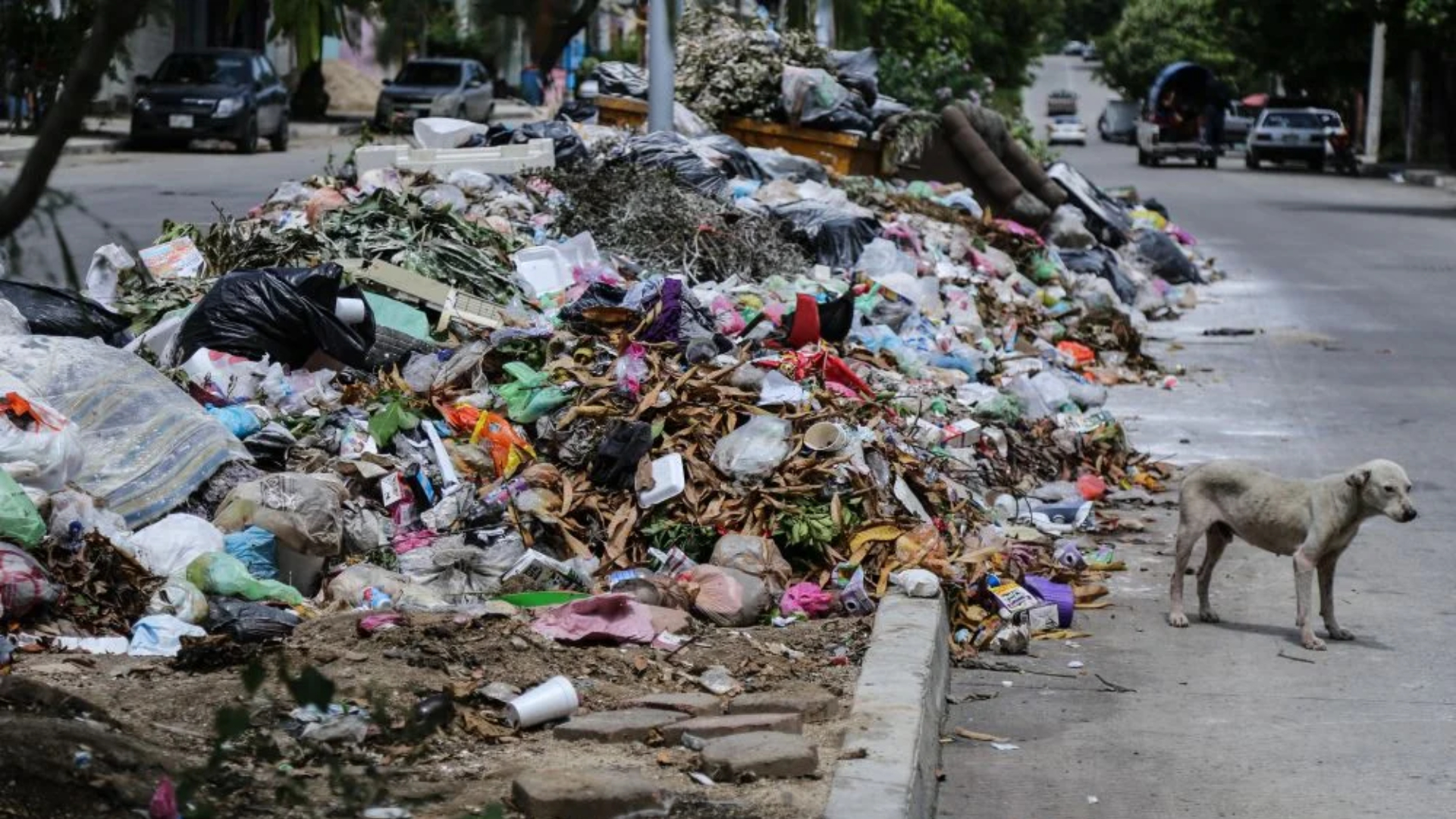 Sampedranos acumulación de basura