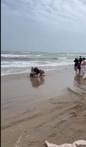 Hondureños protagonizan zafarrancho en playas