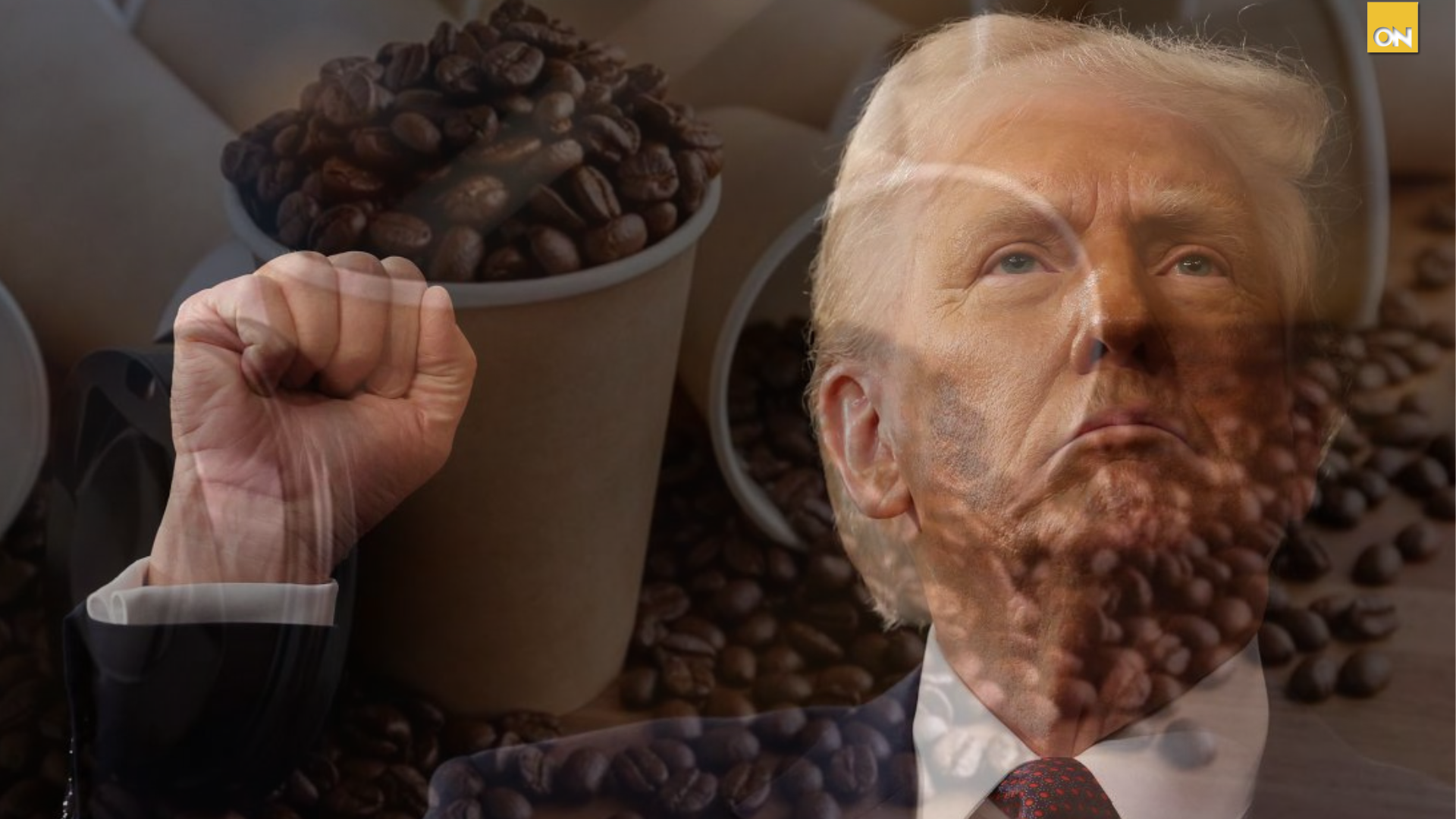 Aranceles impuestos por el gobierno de EE.UU provoca estrepitosa caída en el precio internacional del café