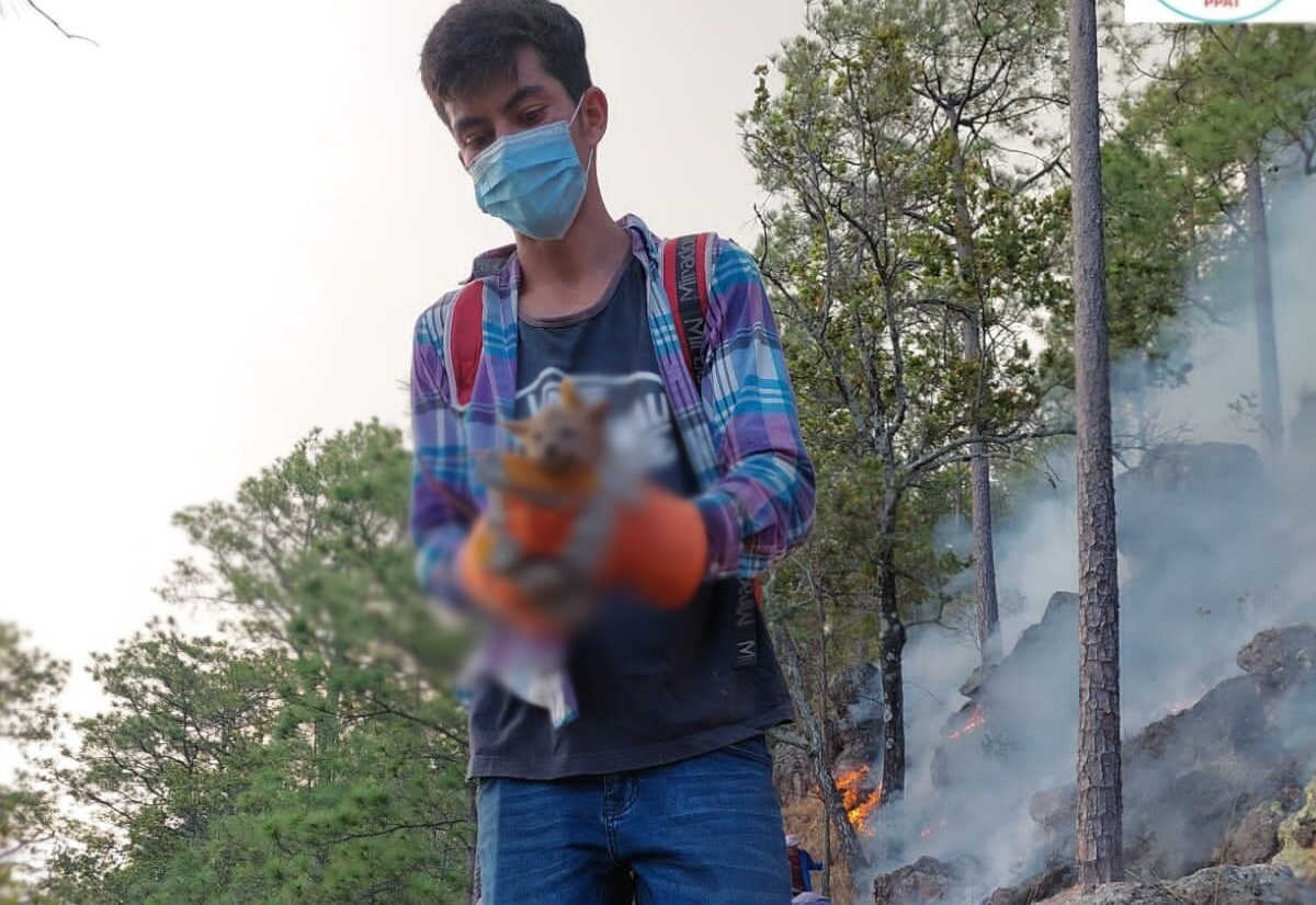 incencio forestal Comayagua