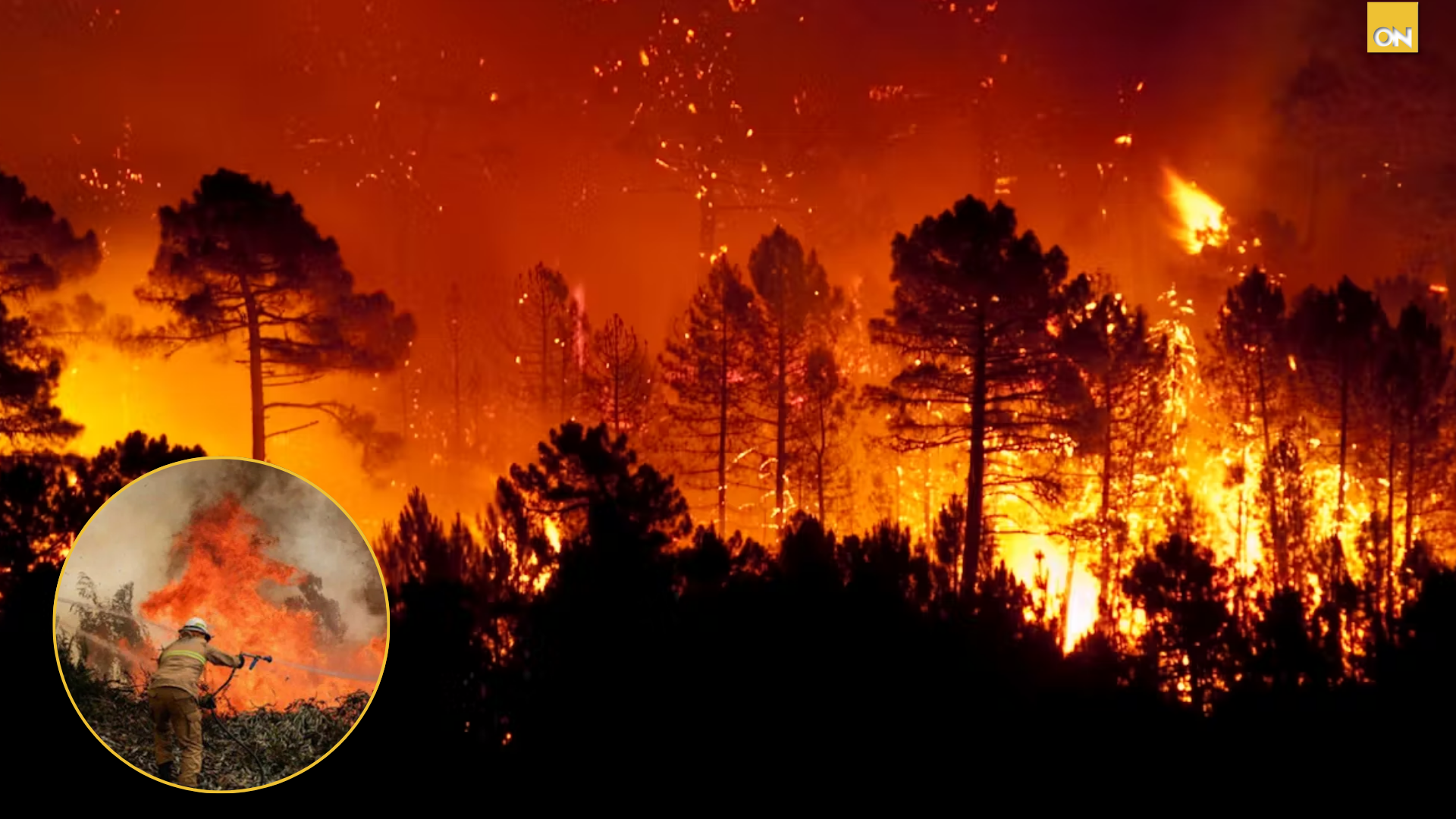 incendios en Honduras, Francisco Morazán el más afectado