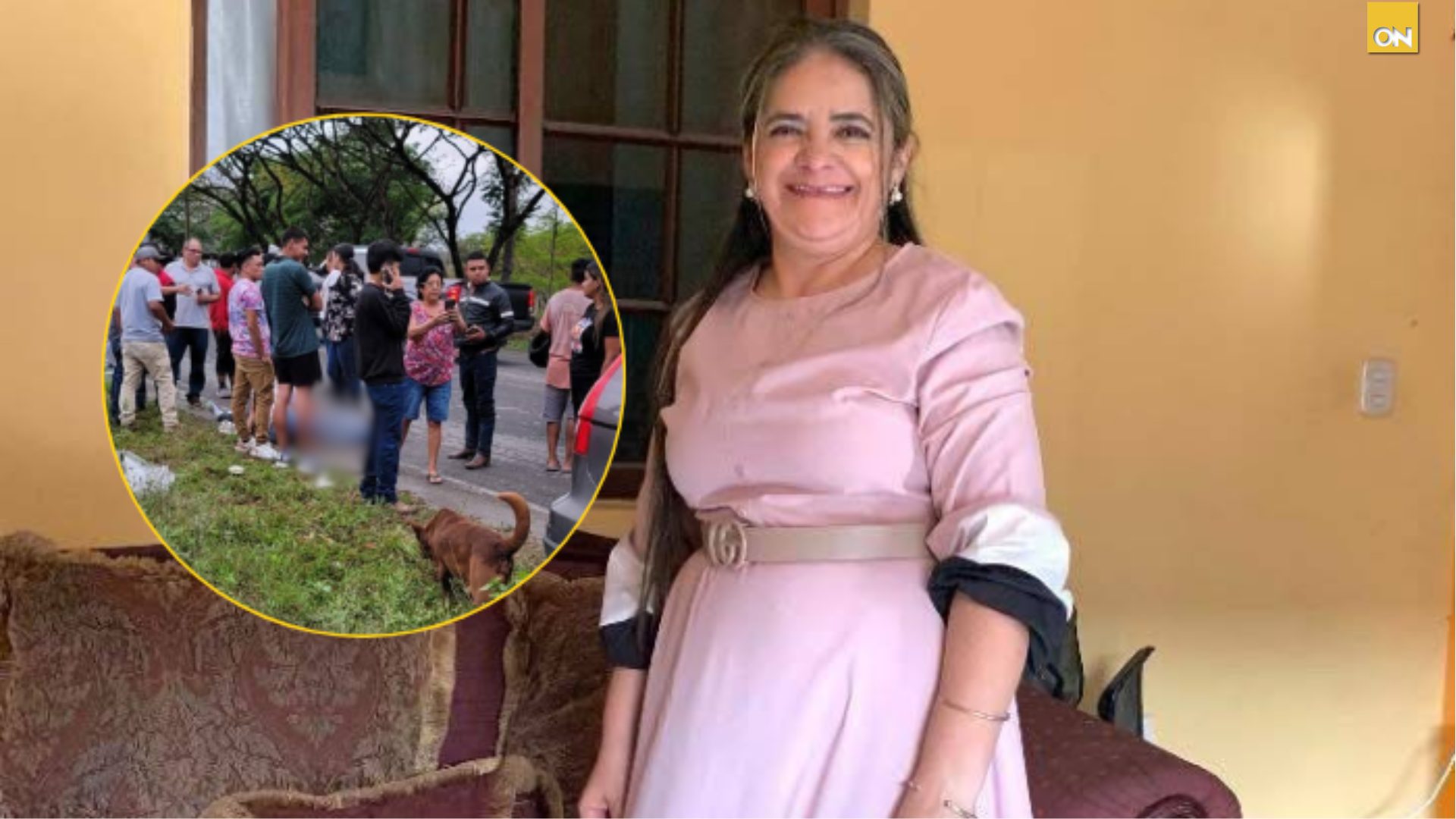 Pastora pierde la vida tras ser atropellada en la CA-11
