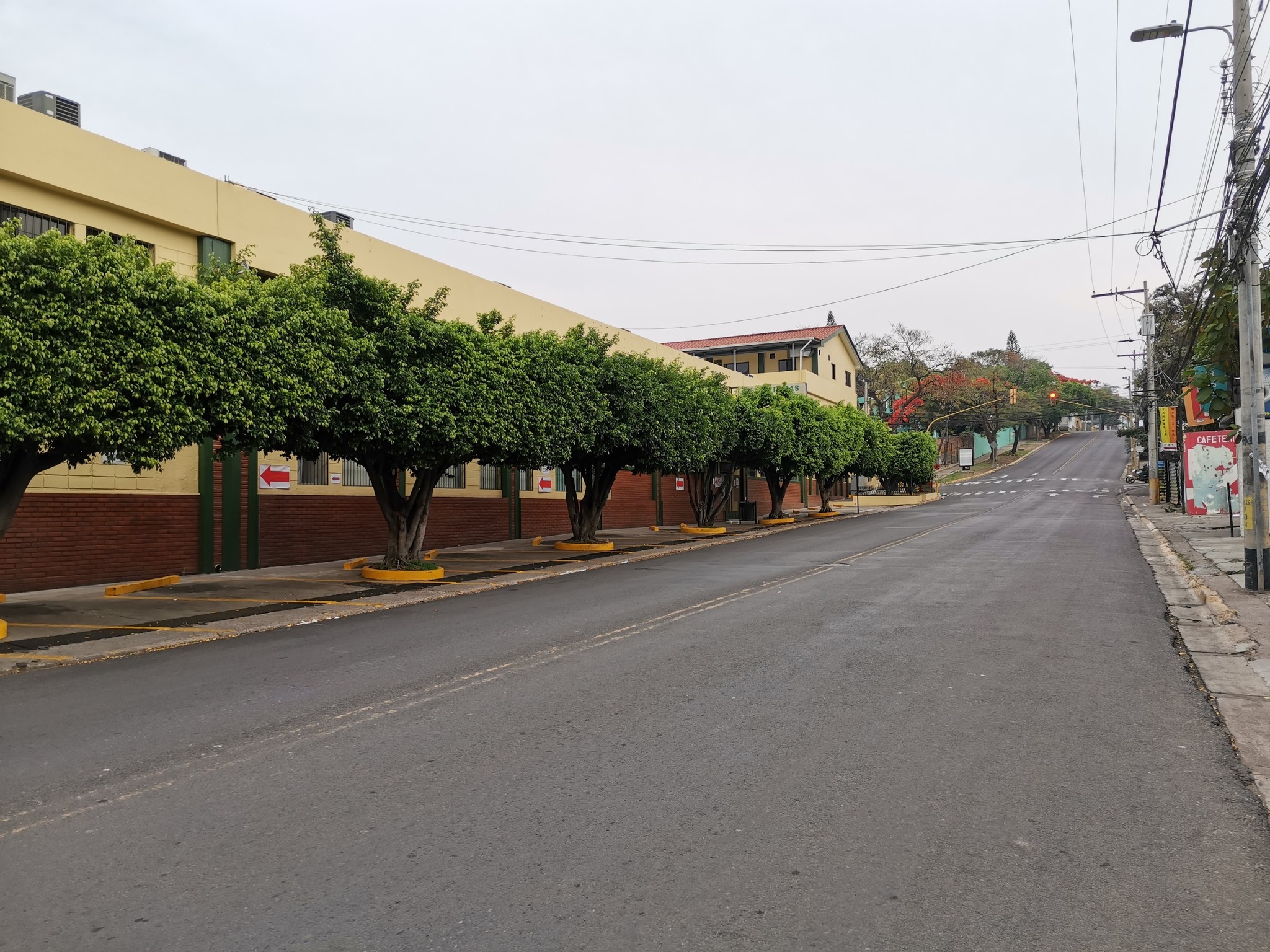 tegucigalpa tiempos de covid (3)