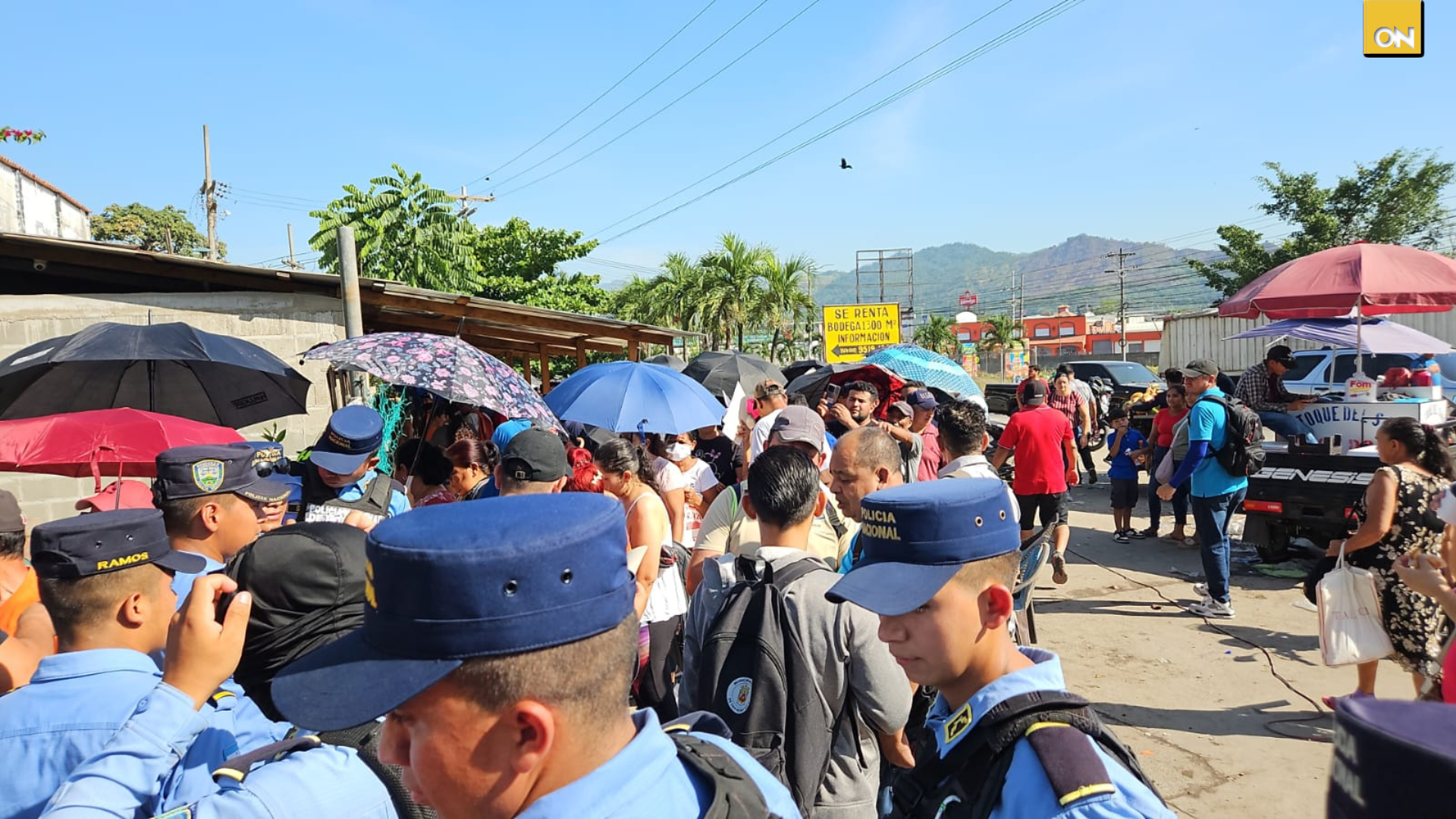 Expertos derecho caso Koriun
