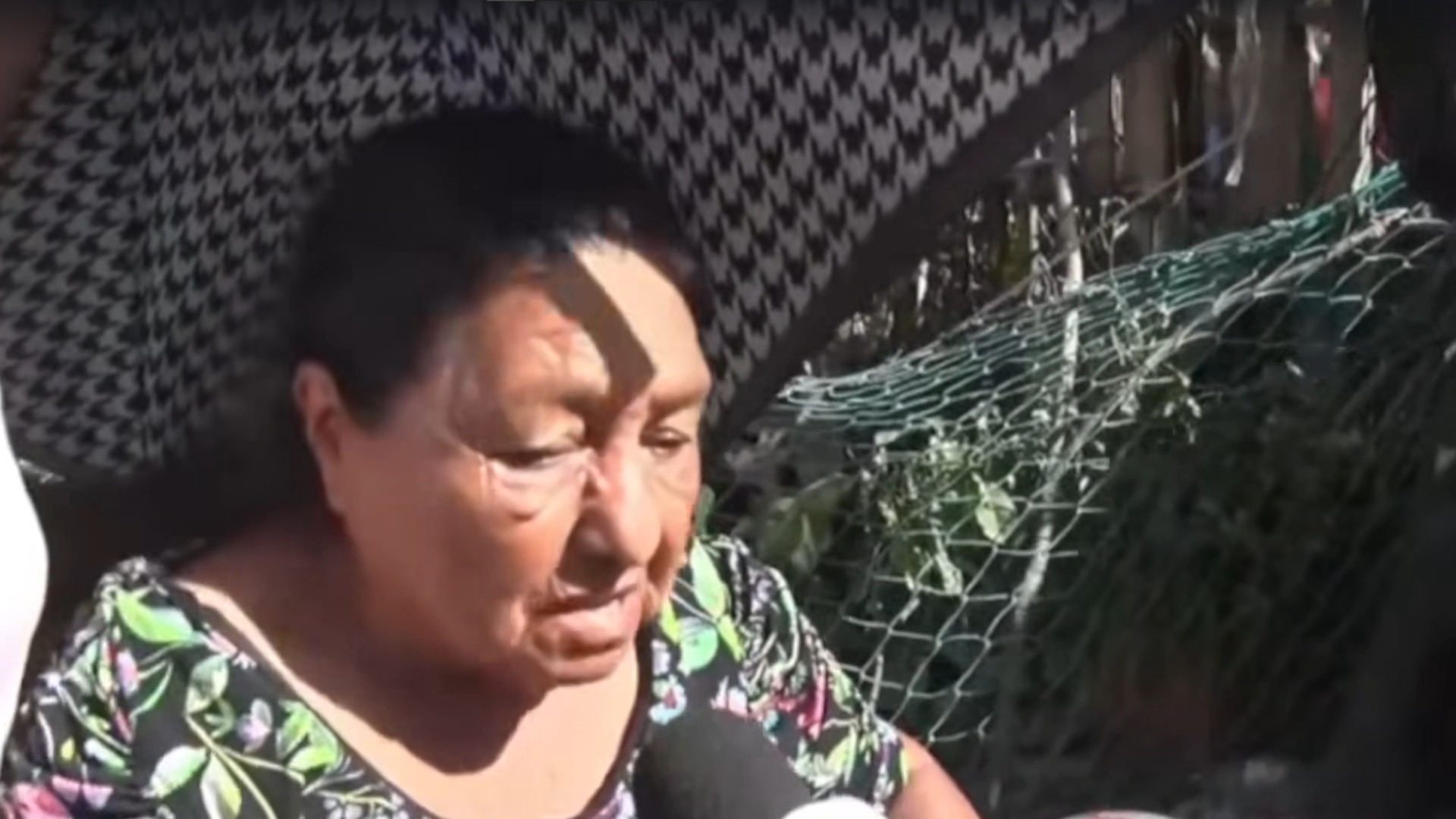Abuela usó 780 mil lempiras de su nieta para invertir en Koriun: asegura que era para su casa