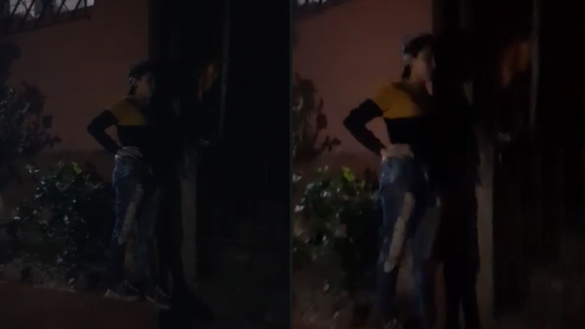En libertad queda madre hondureña que fue grabada maltratando a sus hijas en Tegucigalpa