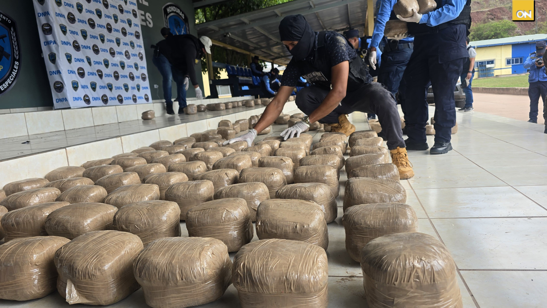 Policía Nacional decomisa marihuana
