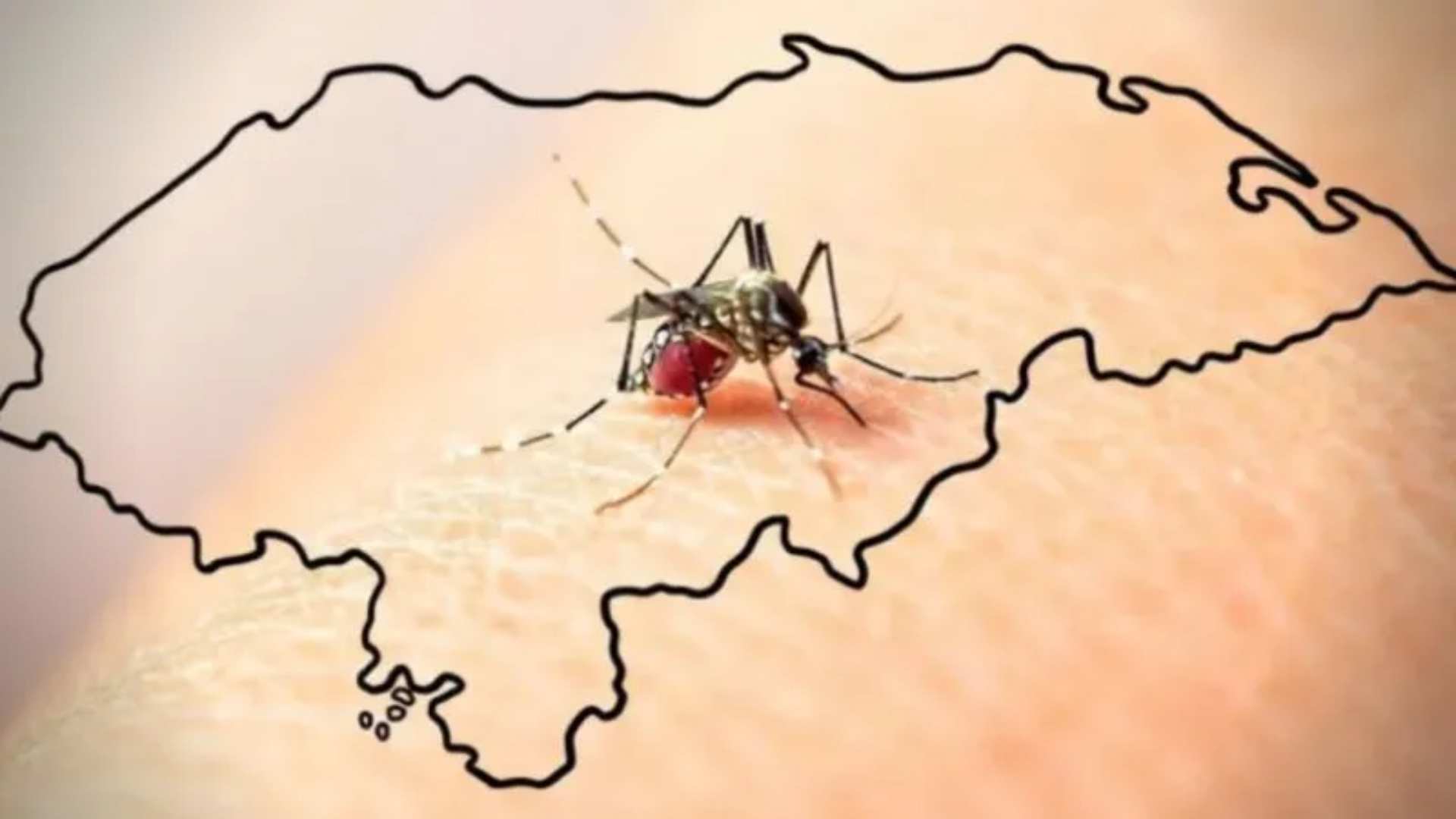 dengue Honduras