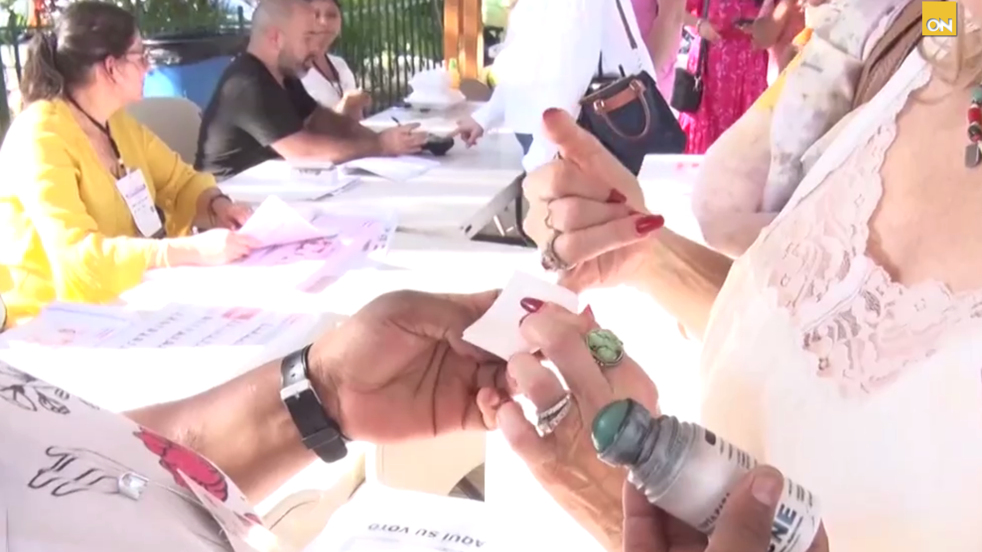 CNE observadores elecciones