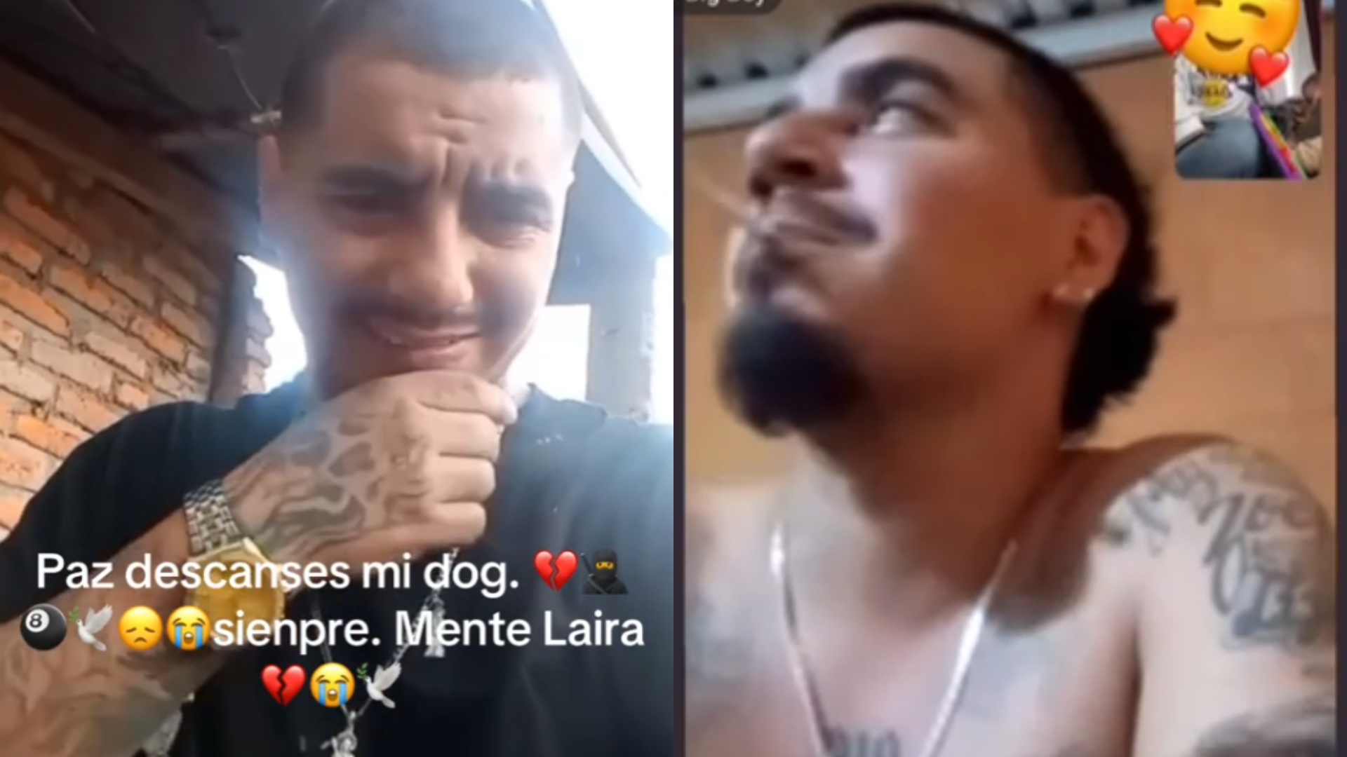 Circulan videos de supuesto pandillero que falleció en enfrentamiento en El Lolo
