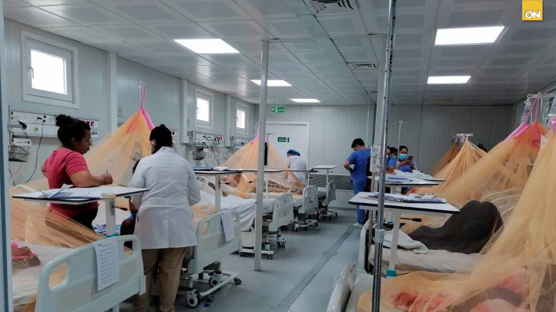Honduras, segundo país con más casos de dengue en Centroamérica, reporta incremento preocupante