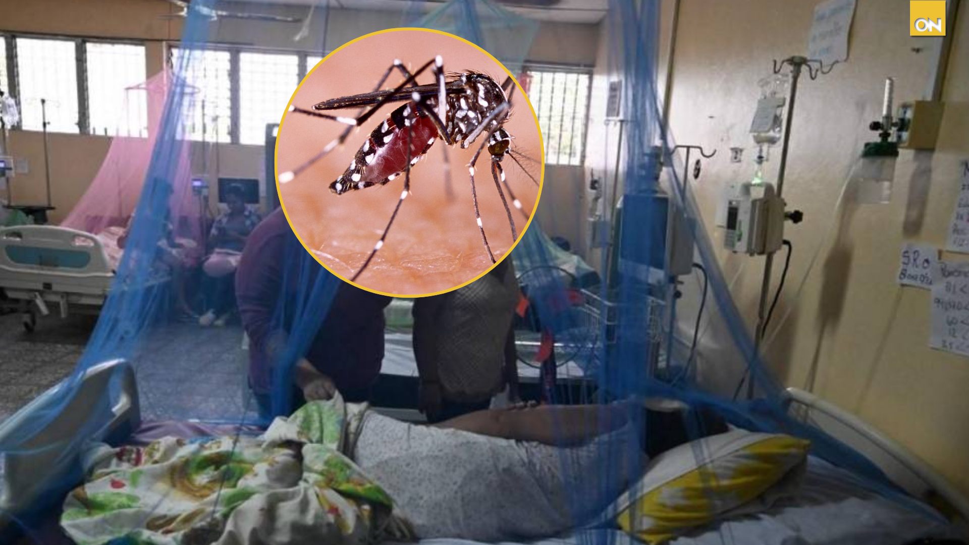 Aumentan los casos de dengue en Honduras; 7,581 afectados en lo que va del 2025