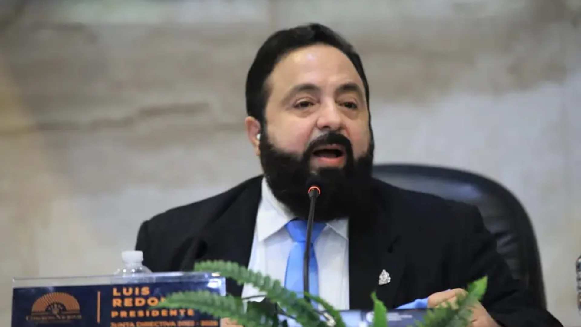 Luis Redondo diputados