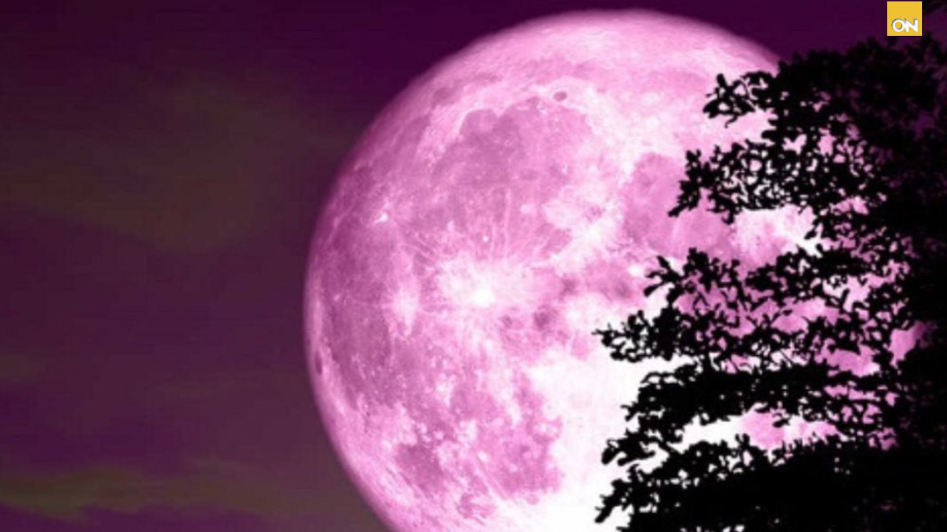 La Luna de Fresa iluminará el cielo en junio en Honduras ¿cuándo y cómo verla?