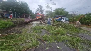 Lluvias en el territorio nacional