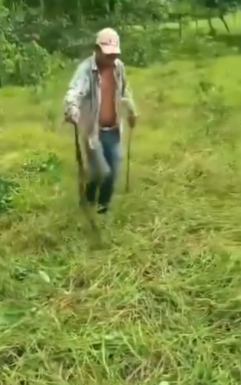Hondureño sorprende al manipular serpiente venenosa con total calma en Olancho