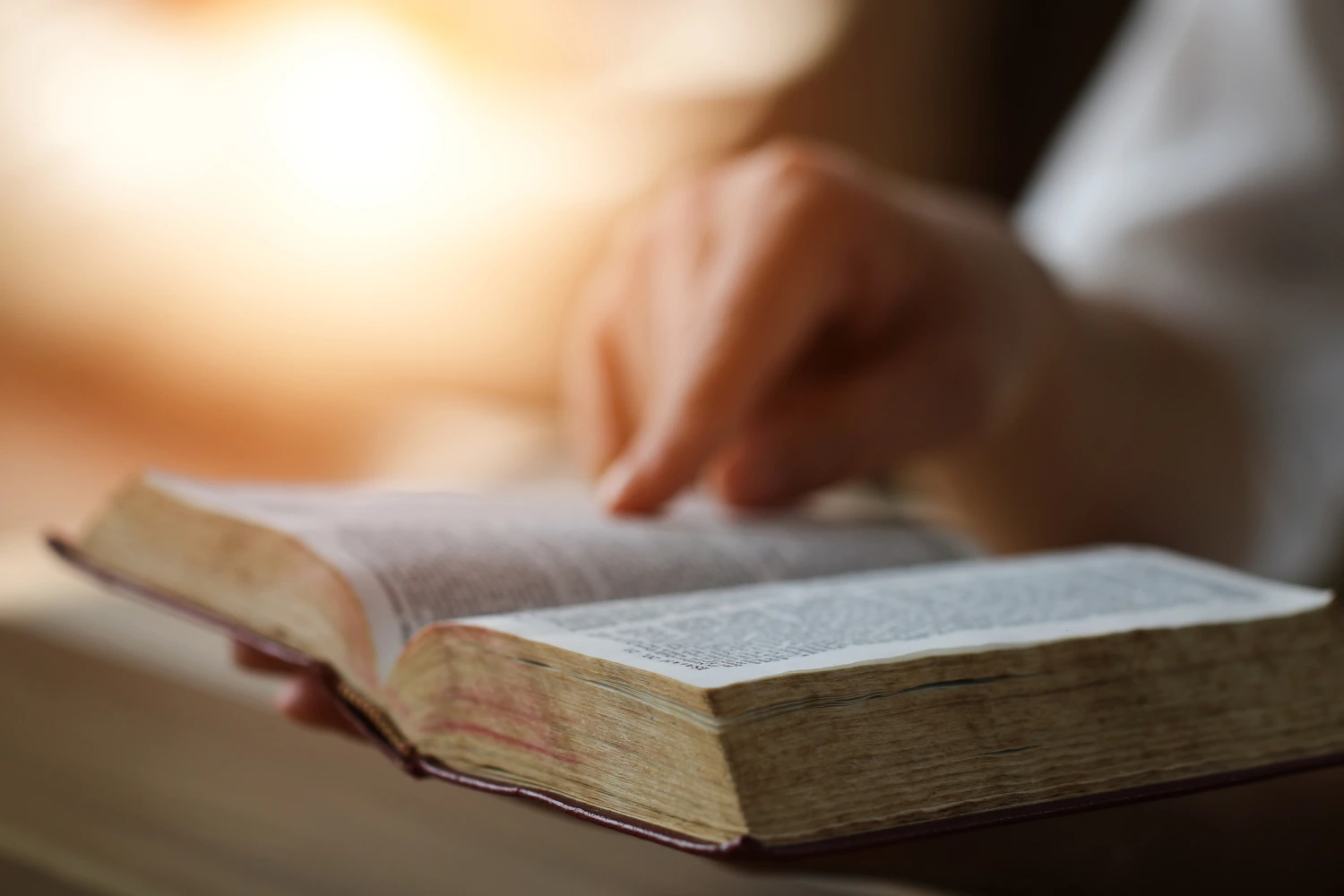 biblia fin del mundo profecías medio oriente