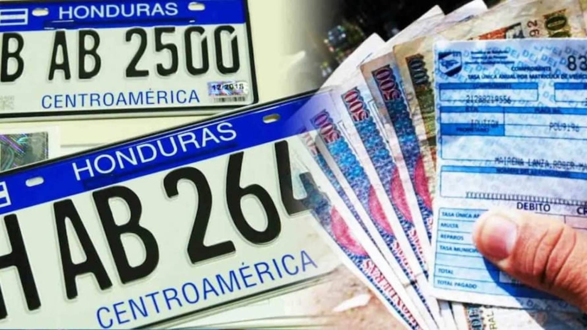 matrícula vehicular 2025