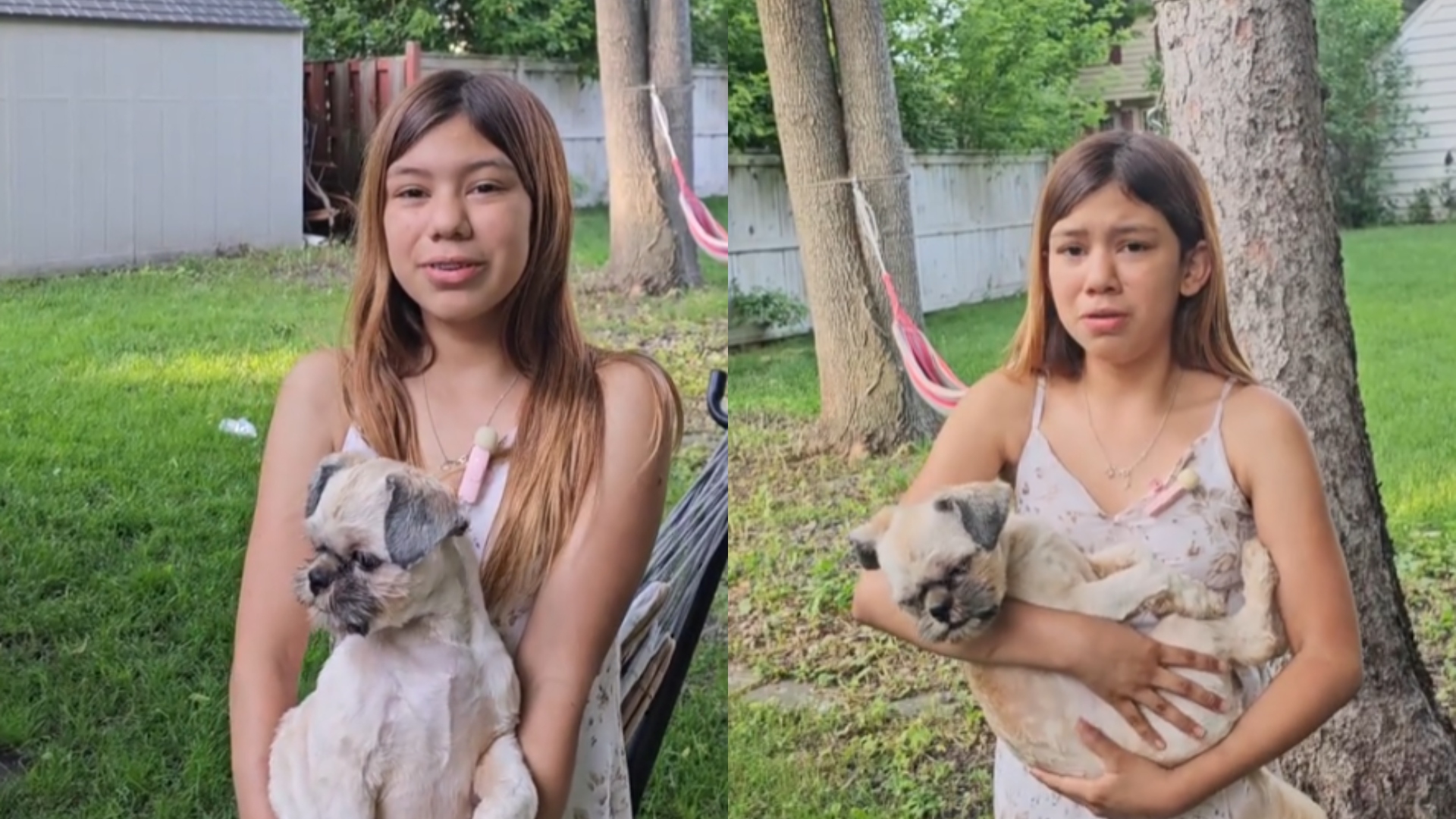 niña hondureña pide ayuda para llevarse a su perrito a Honduras tras salida voluntaria