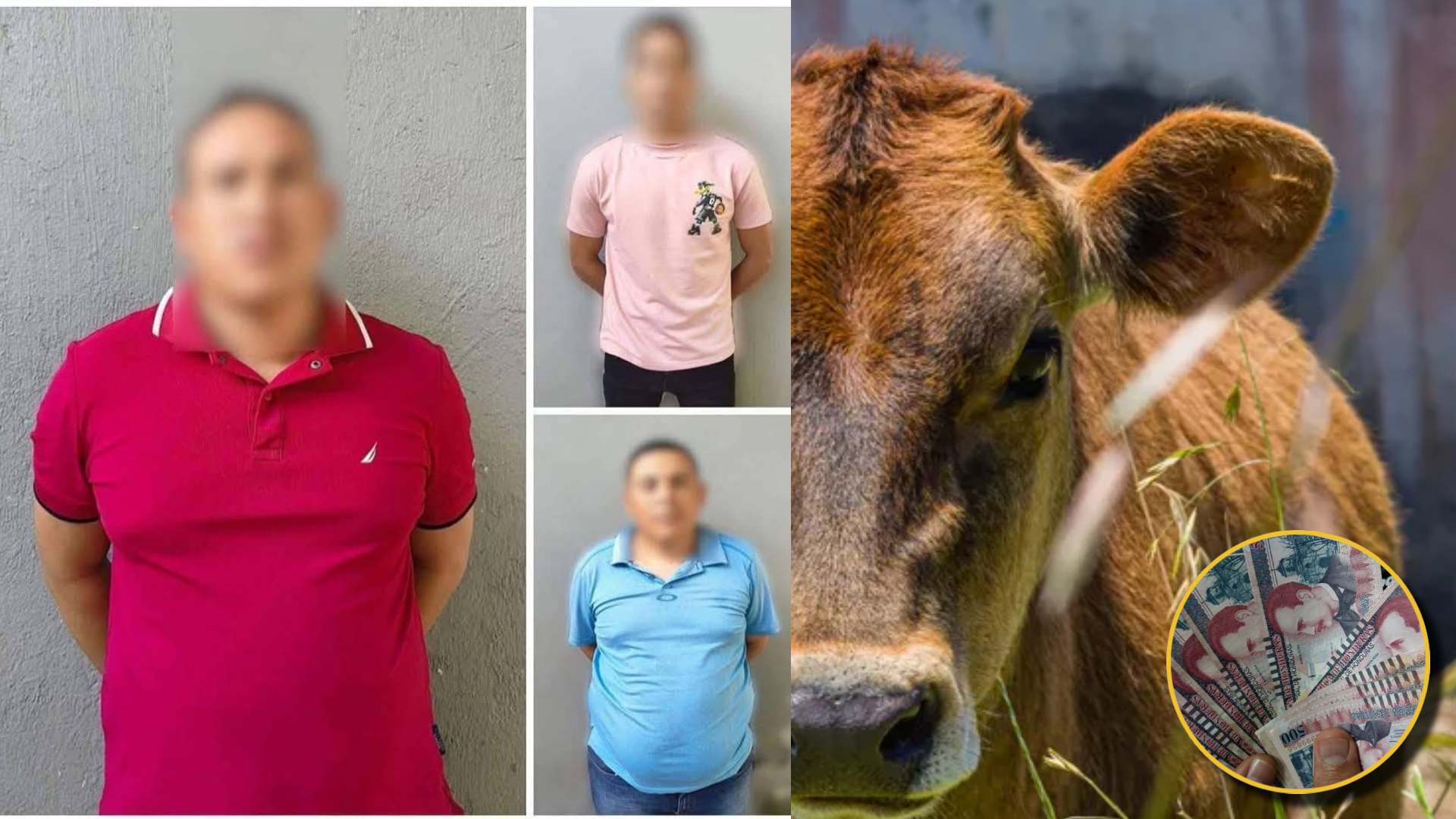 Padre hondureño es víctima de robo de dinero de vaca en Trujillo
