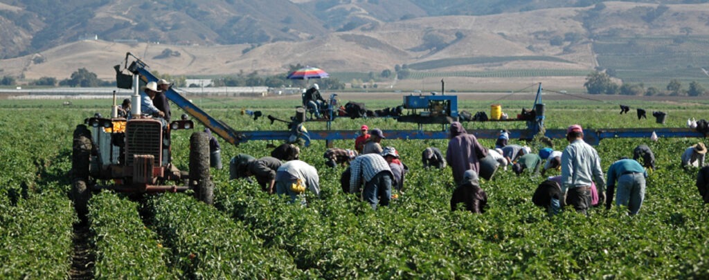 Los trabajadores agrícolas - Food Empowerment Project