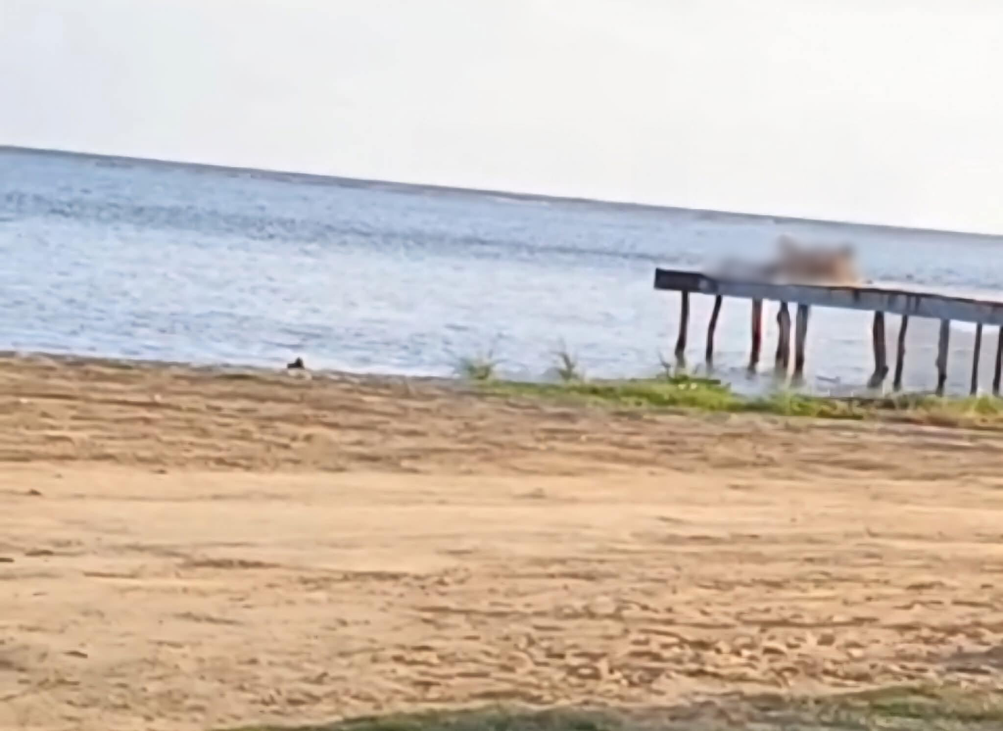 extranjeros son captados teniendo relaciones en playa pública