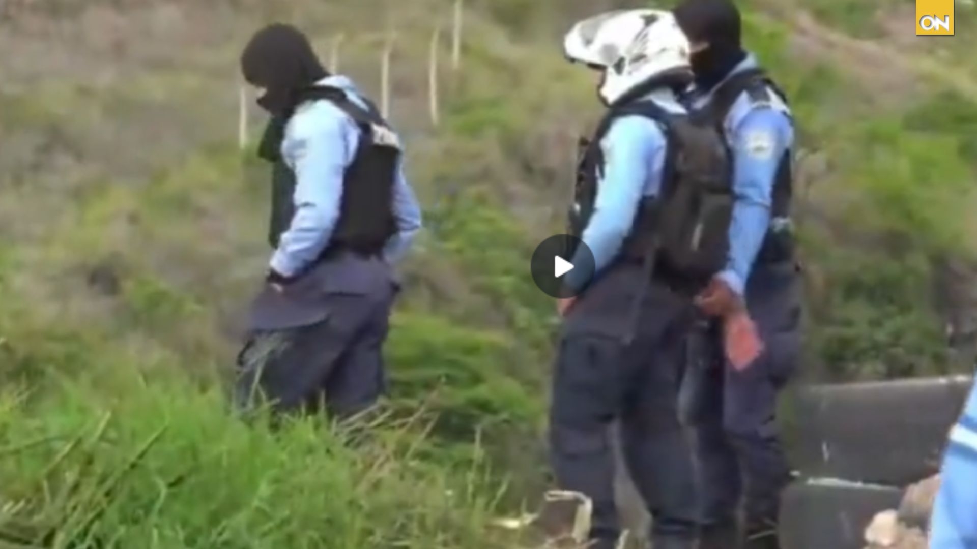 policías cariño