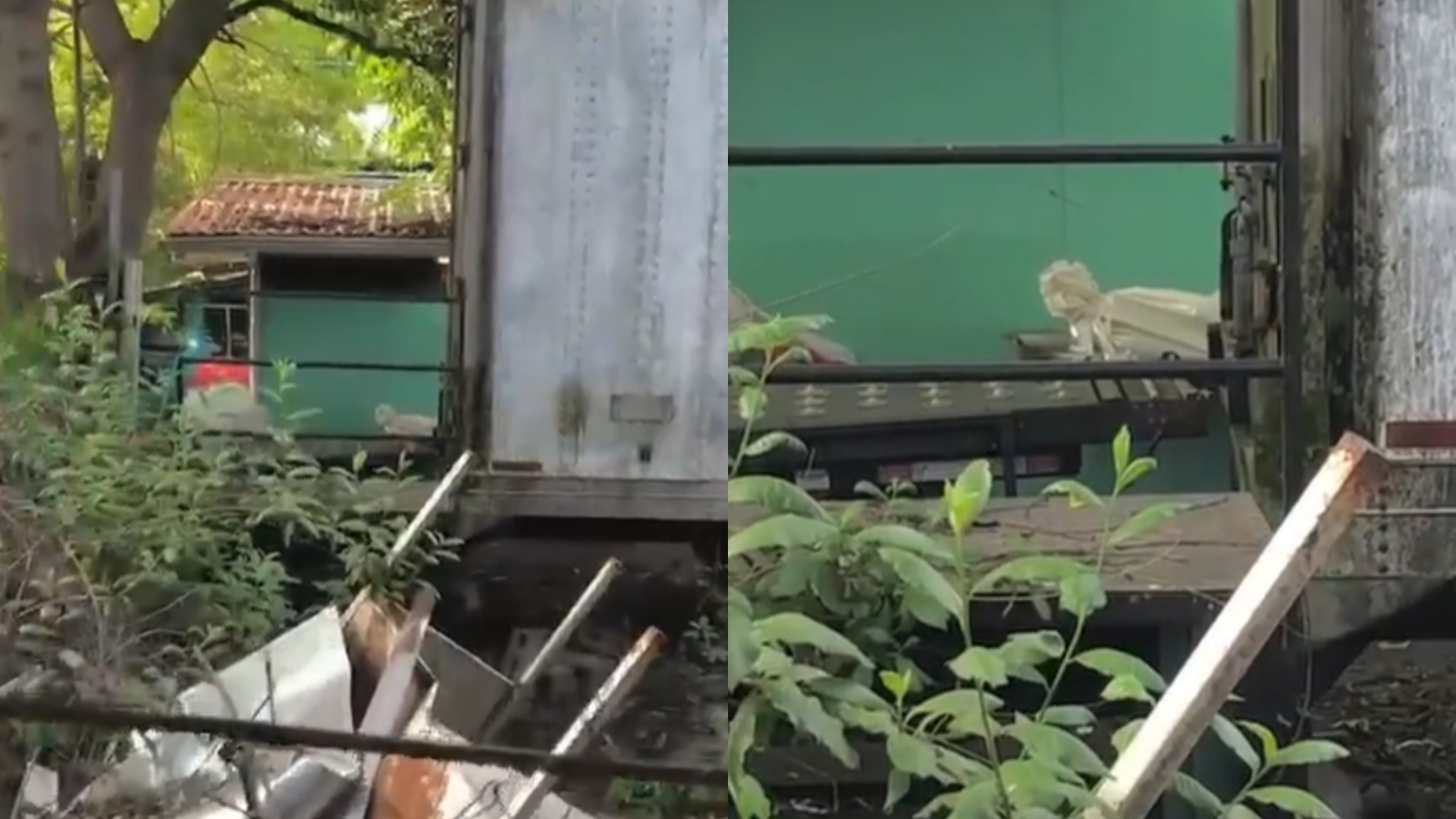 Vecinos denuncian insalubridad