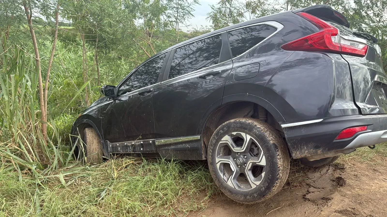 Crimen contra Darwin: carro lo iban como chatarra