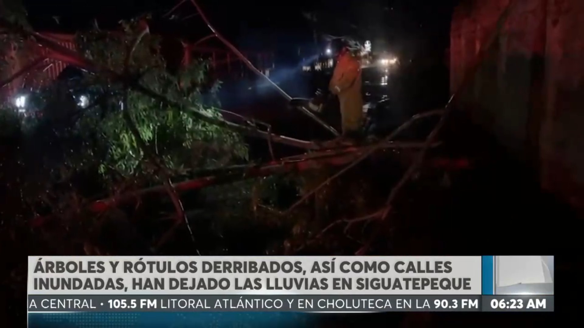 Árboles caídos, rótulos derribados y cortes de energía afectan a la población tras fuertes lluvias