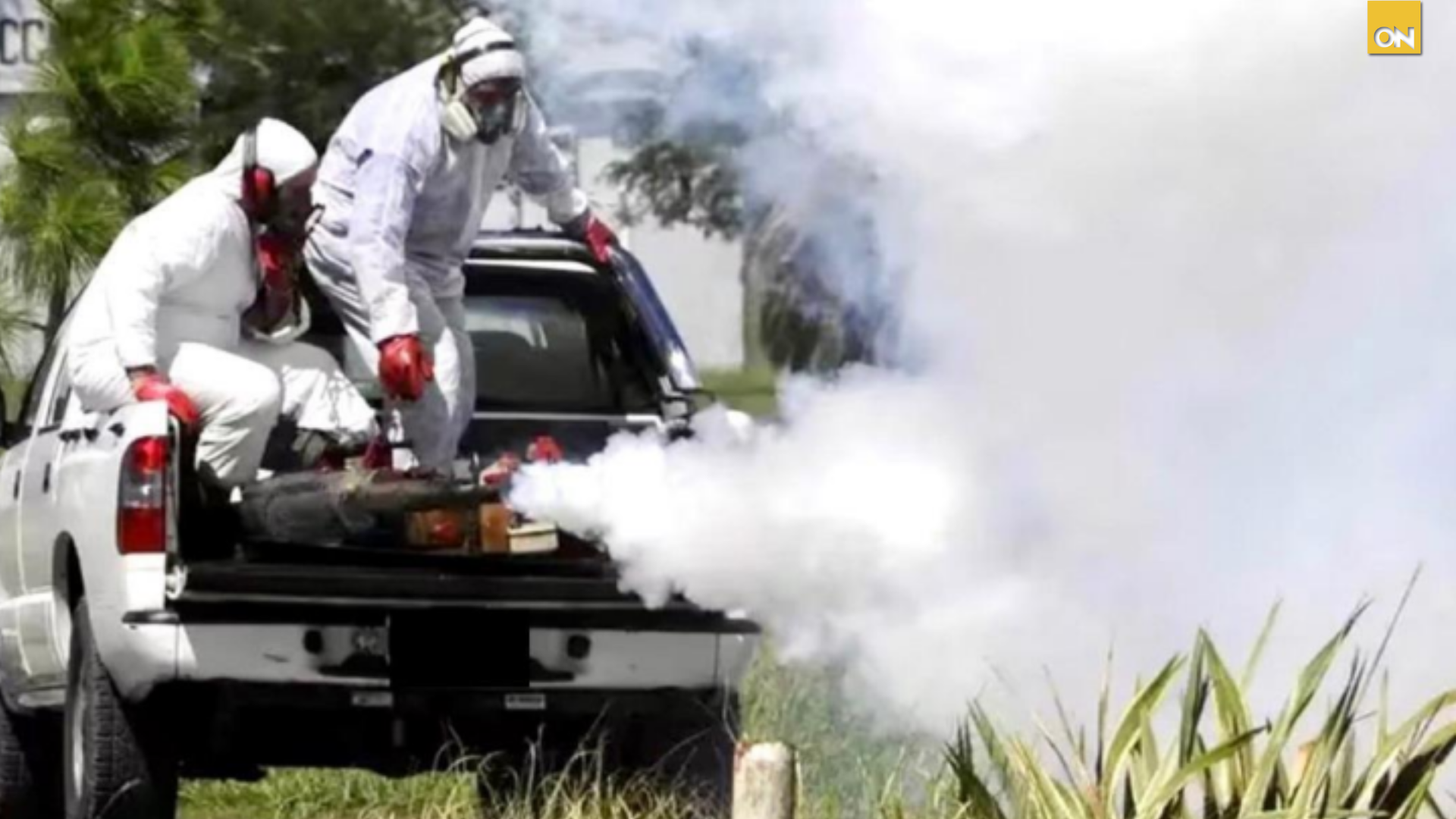 China impone cuarentena por brote de virus transmitido por mosquitos