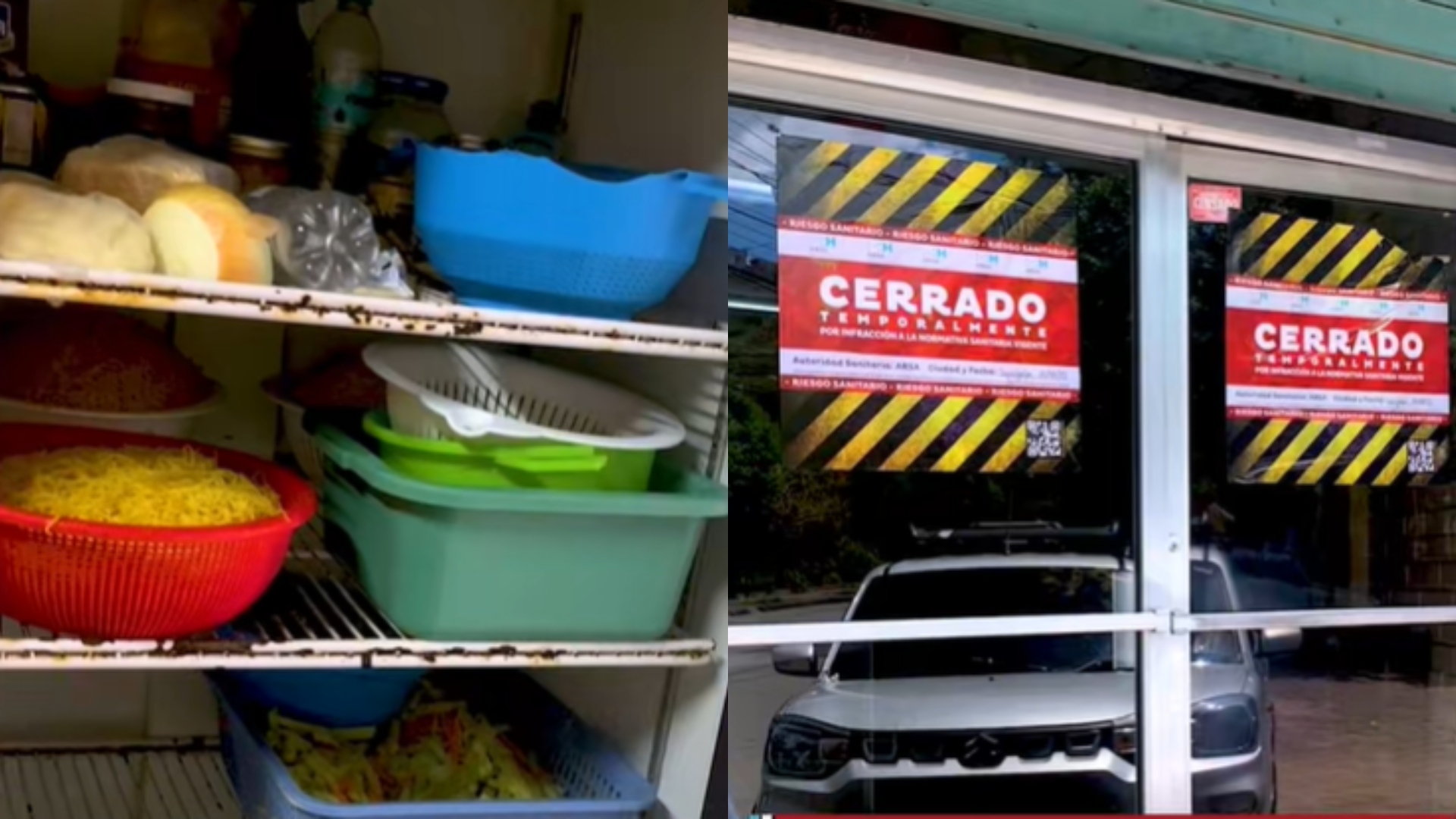 cierran restaurante chino tras encontrar gatos