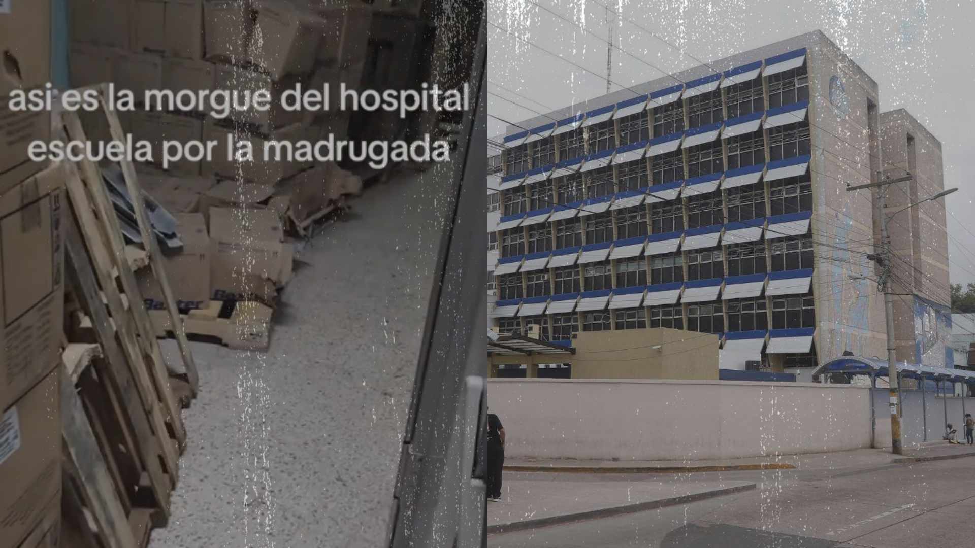 Reacciones sobre pasillo de la morgue en el Hospital Escuela