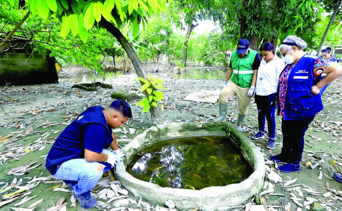 Aumento de casos por Dengue
