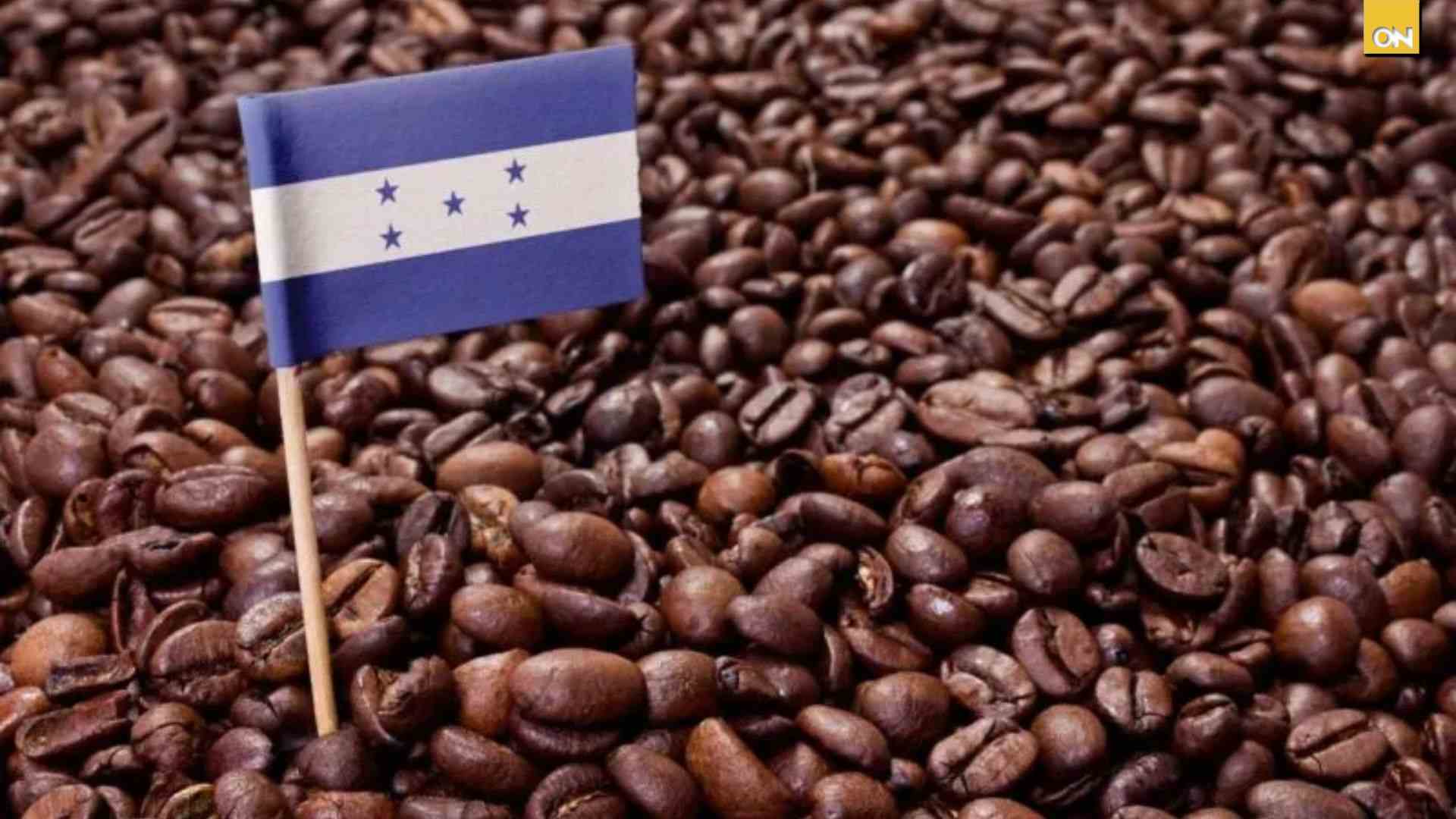 El precio del café a la alza en Honduras