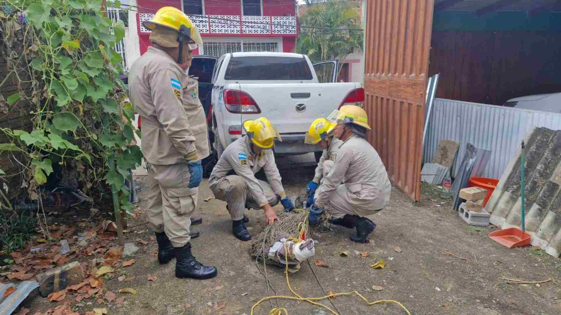 Familia de Danlí crió a un cocodrilo como mascota durante 20 años