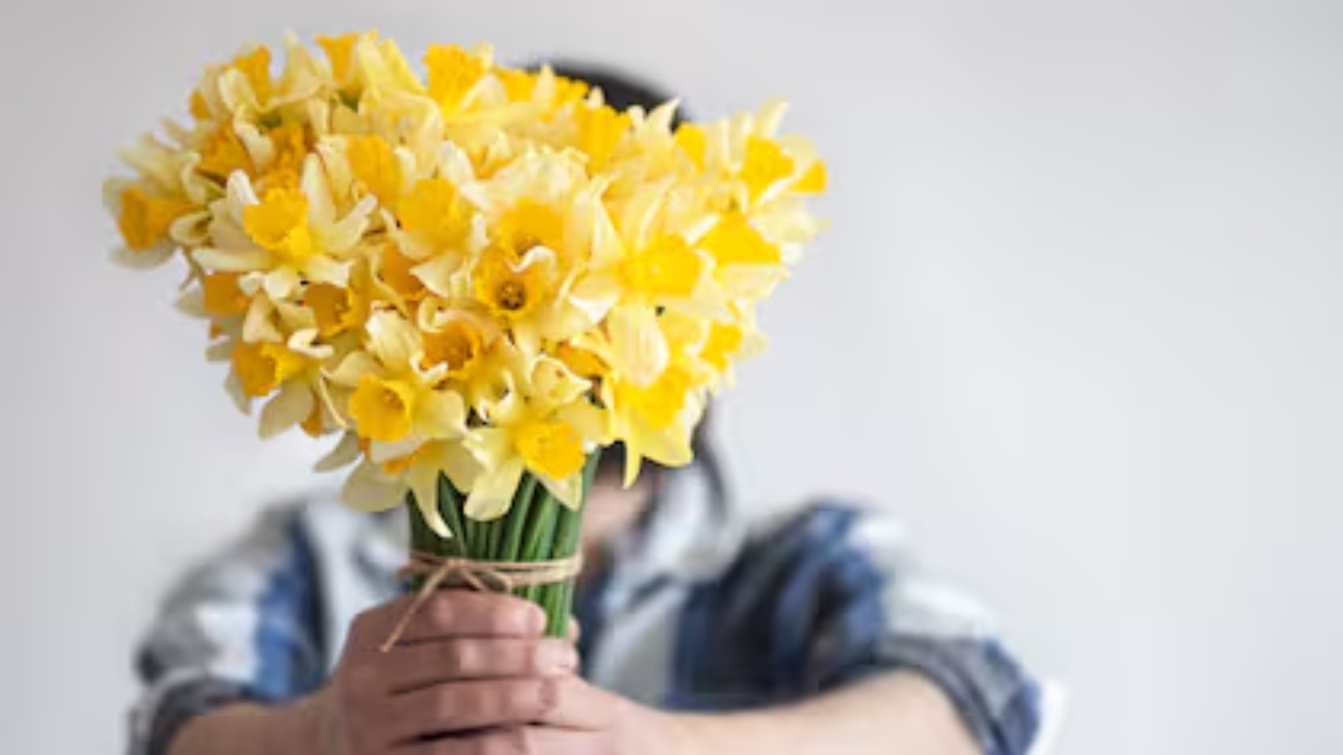 Flores amarrillas septiembre días regalo