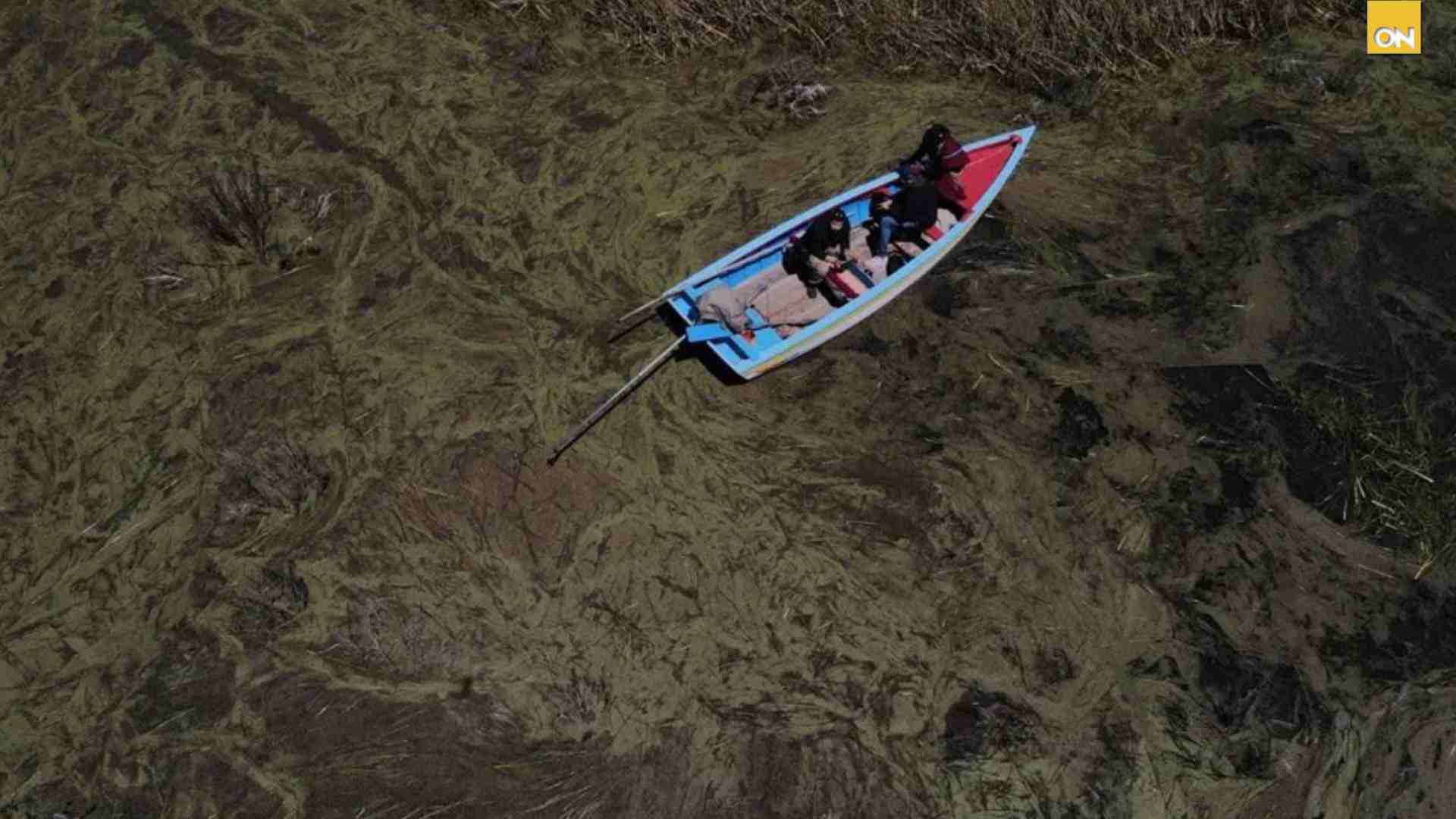 Titicaca, el lago más alto del mundo, muere lentamente por la contaminación