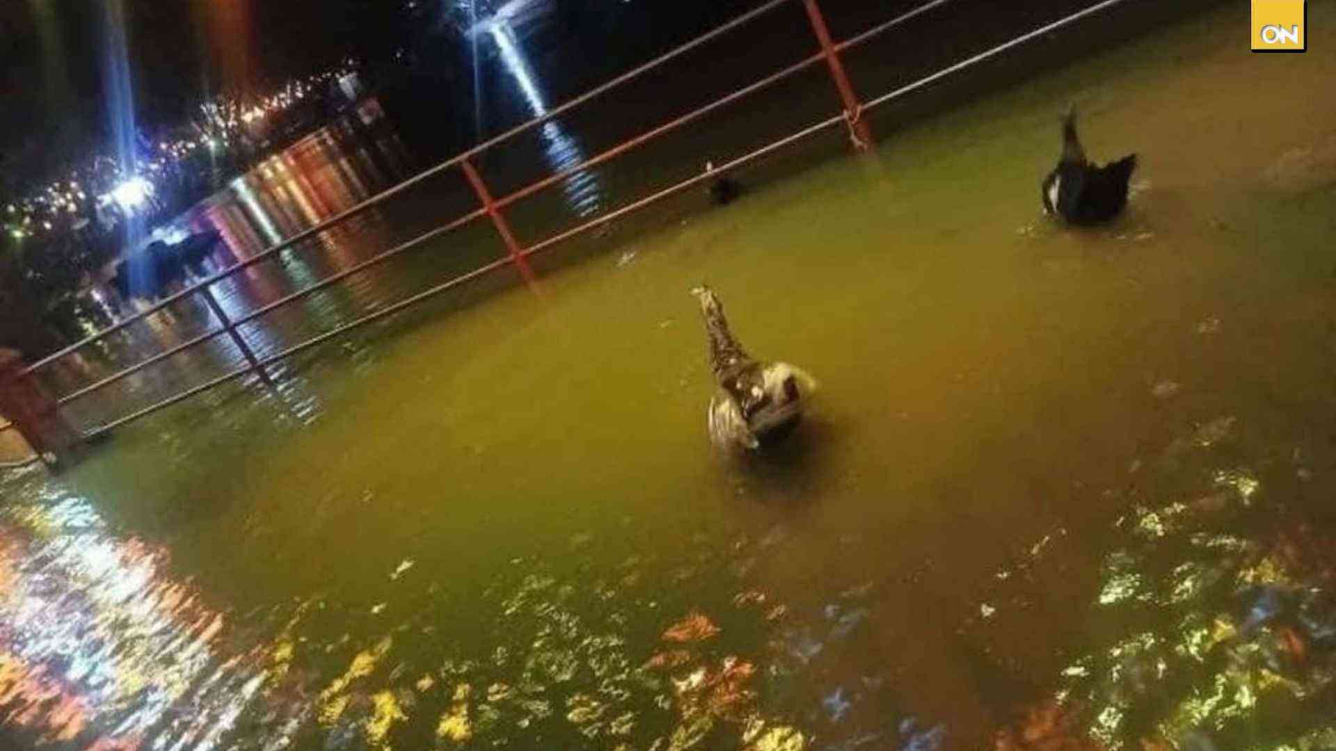 Santa Lucía laguna desborda