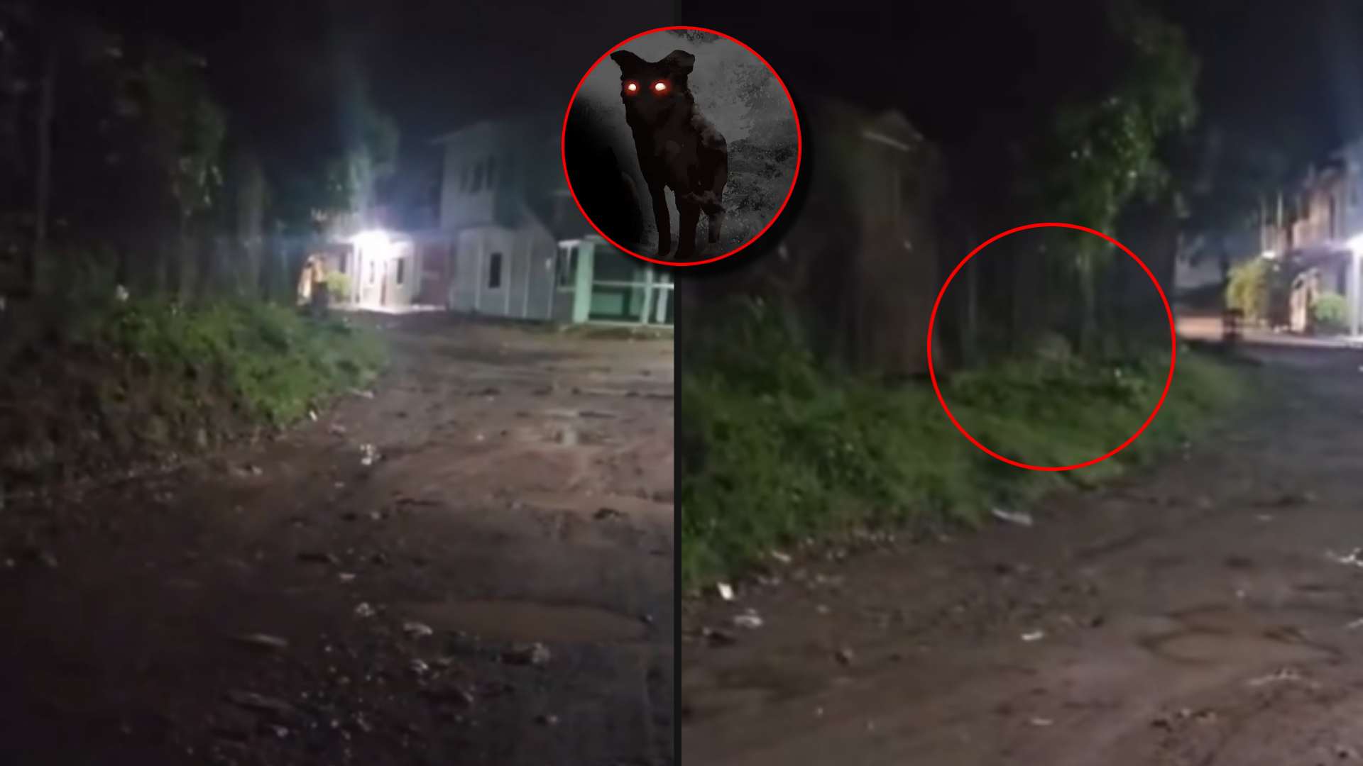 Video de supuesta actividad paranormal en Reitoca desata rumores sobre el cadejo