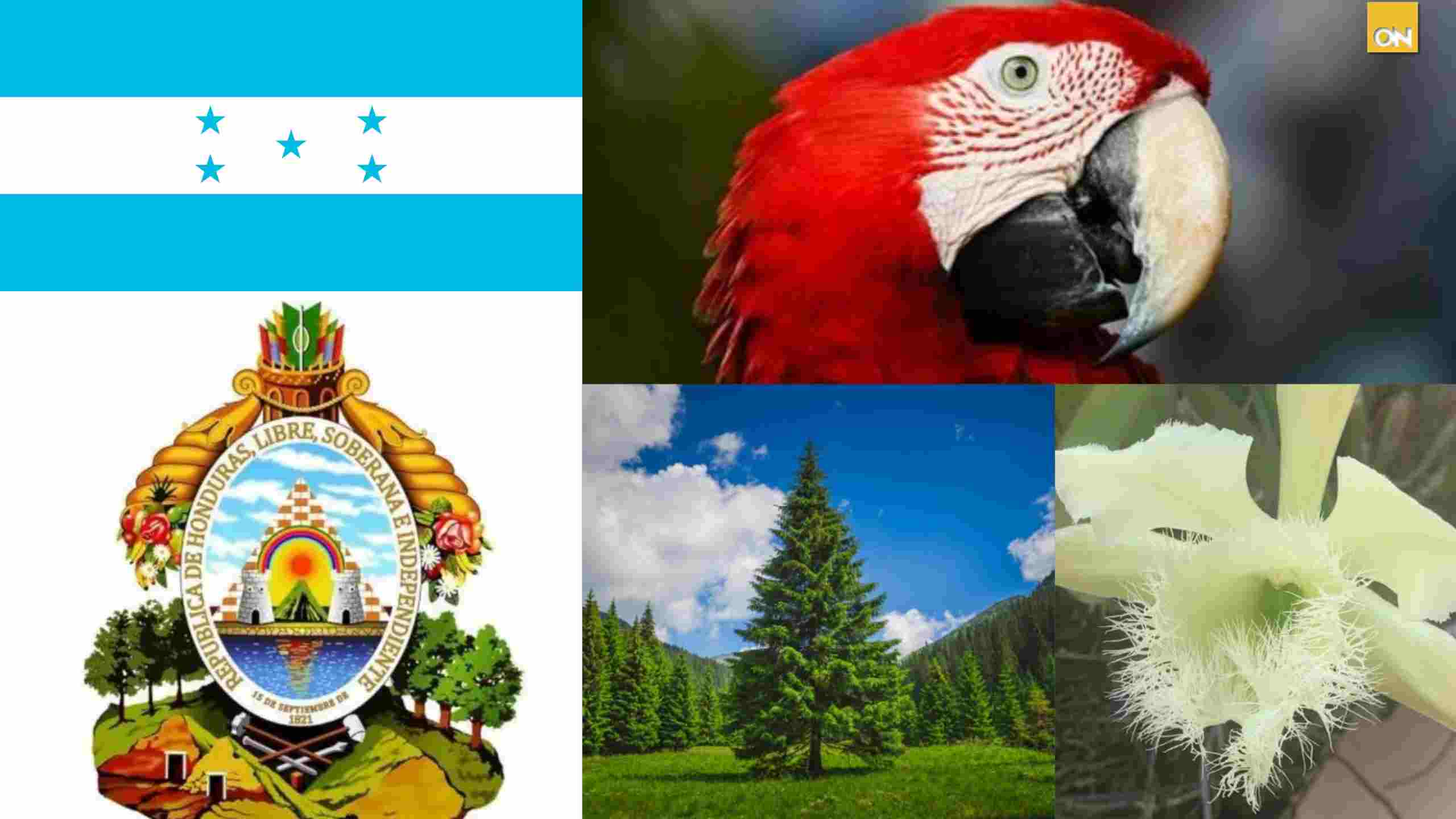 Símbolos Historia Honduras