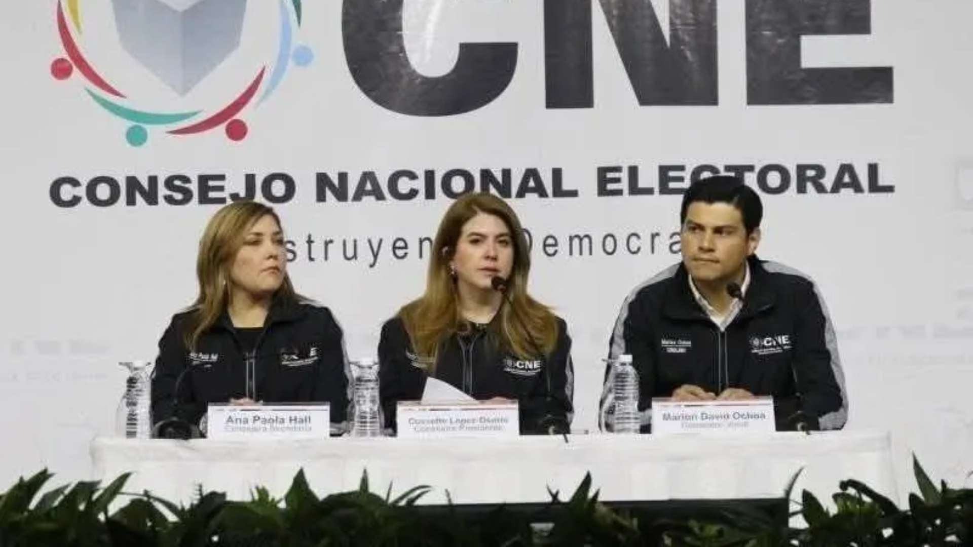 CNE sin lograr acuerdos sobre reglamento de observación nacional