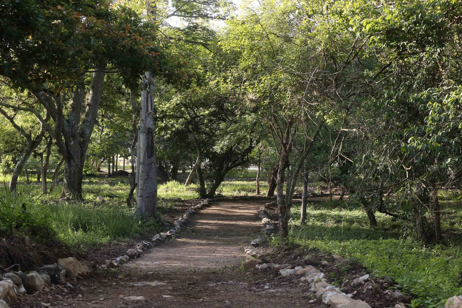 Campo de Parada Marte