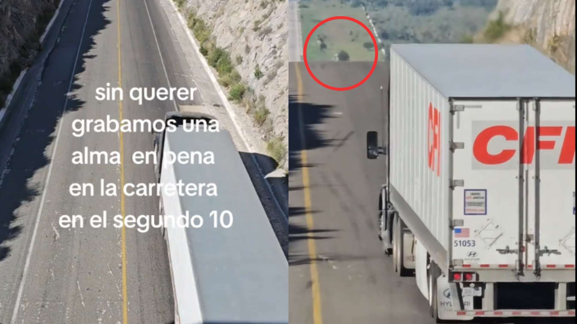 Graban "alma en pena" en plena carretera y causa reacciones