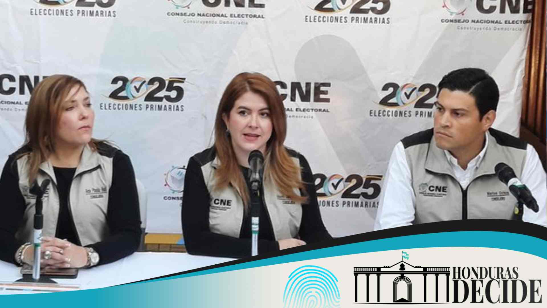 CNE crisis elecciones